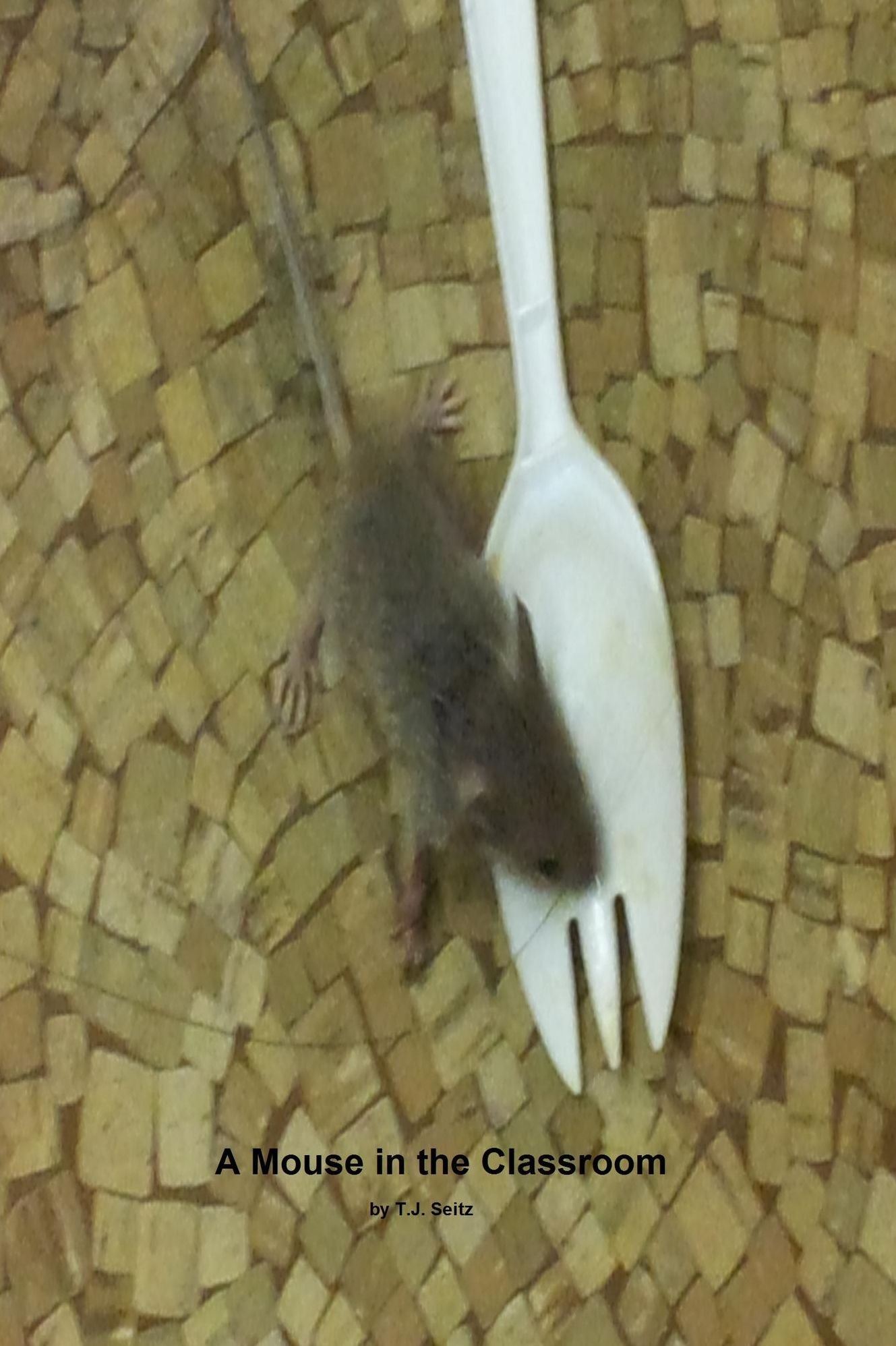 A Mouse in the Classroom