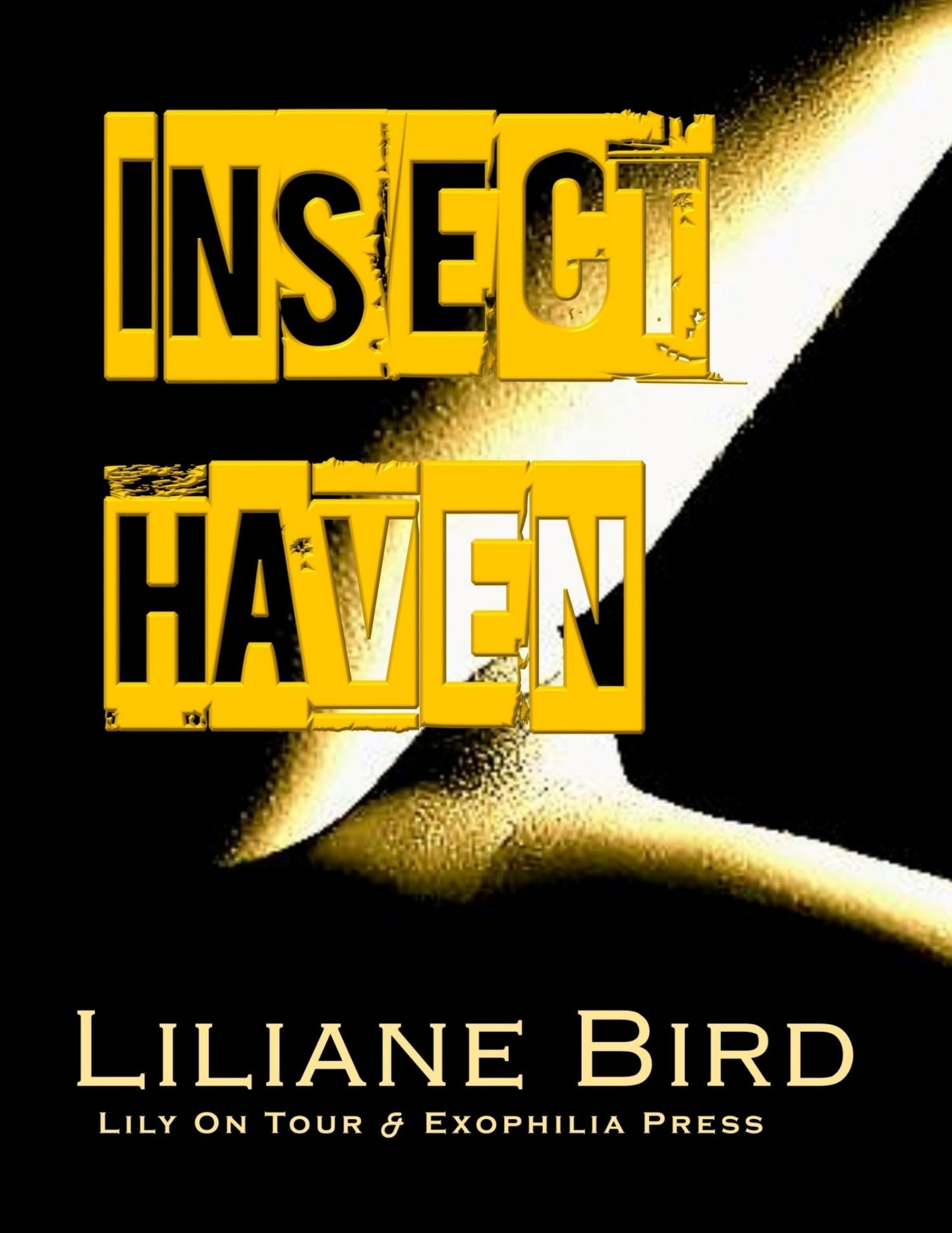 Insect Haven
