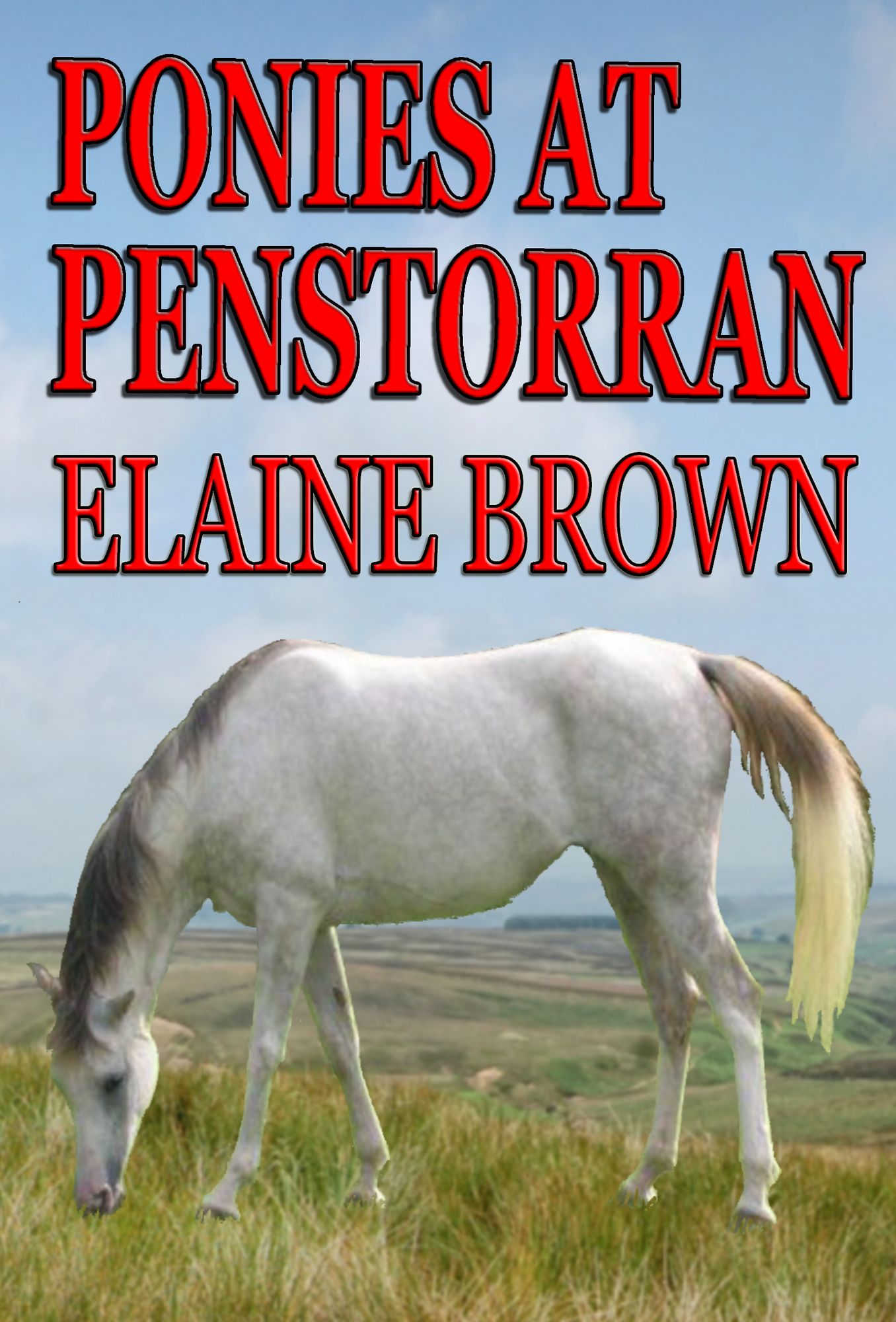 Ponies at Penstorran