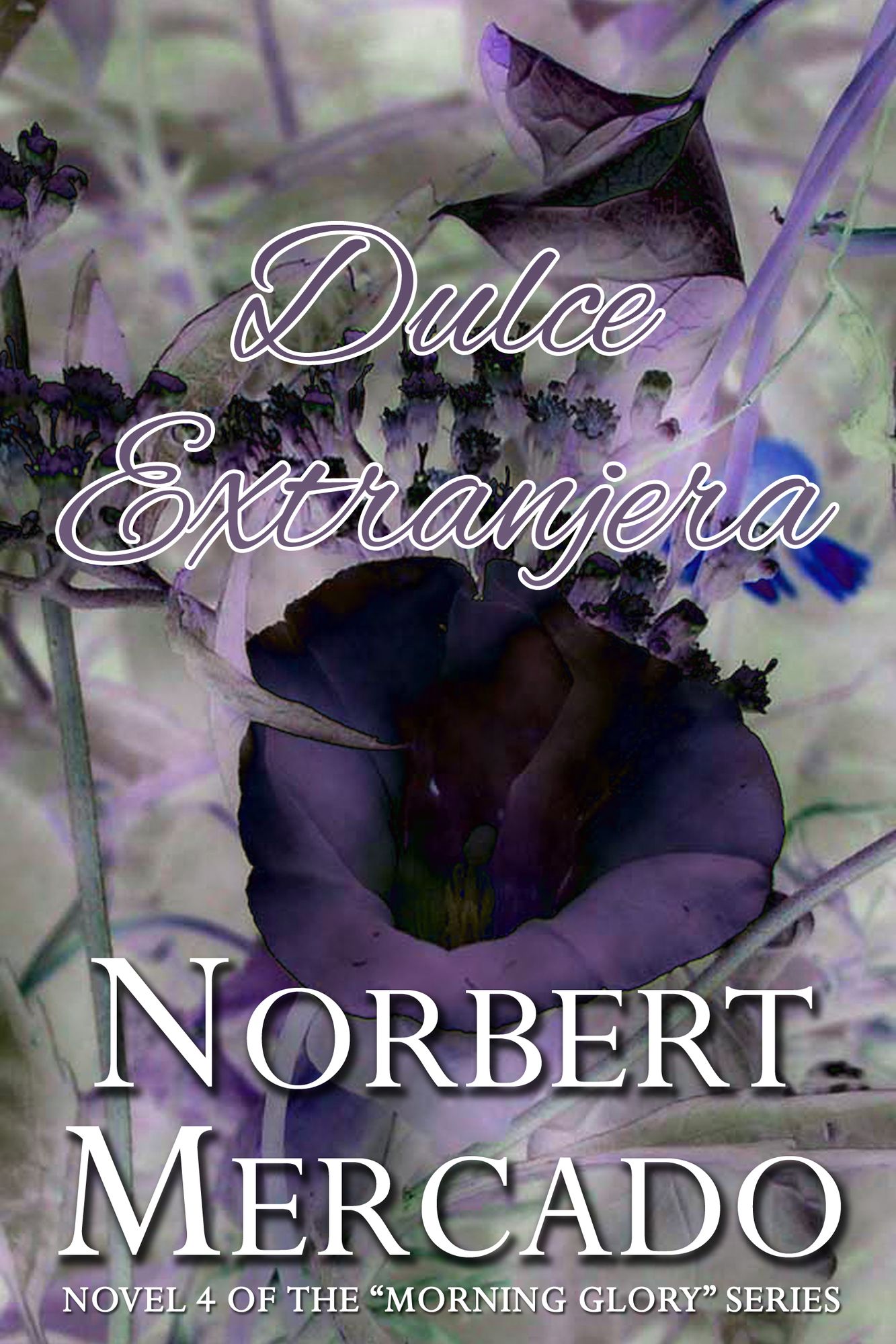 Dulce Extranjera
