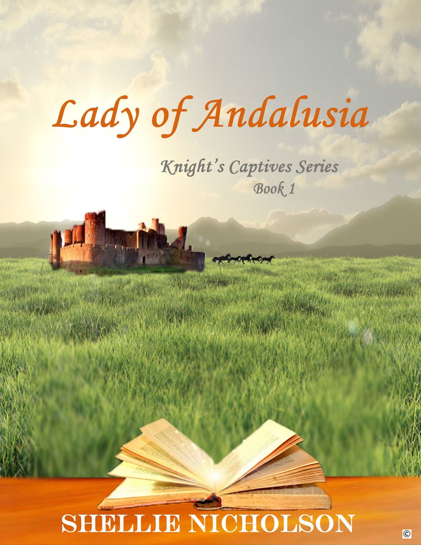 Knight's Captives Series: Lady of Andalusia (Book 1)