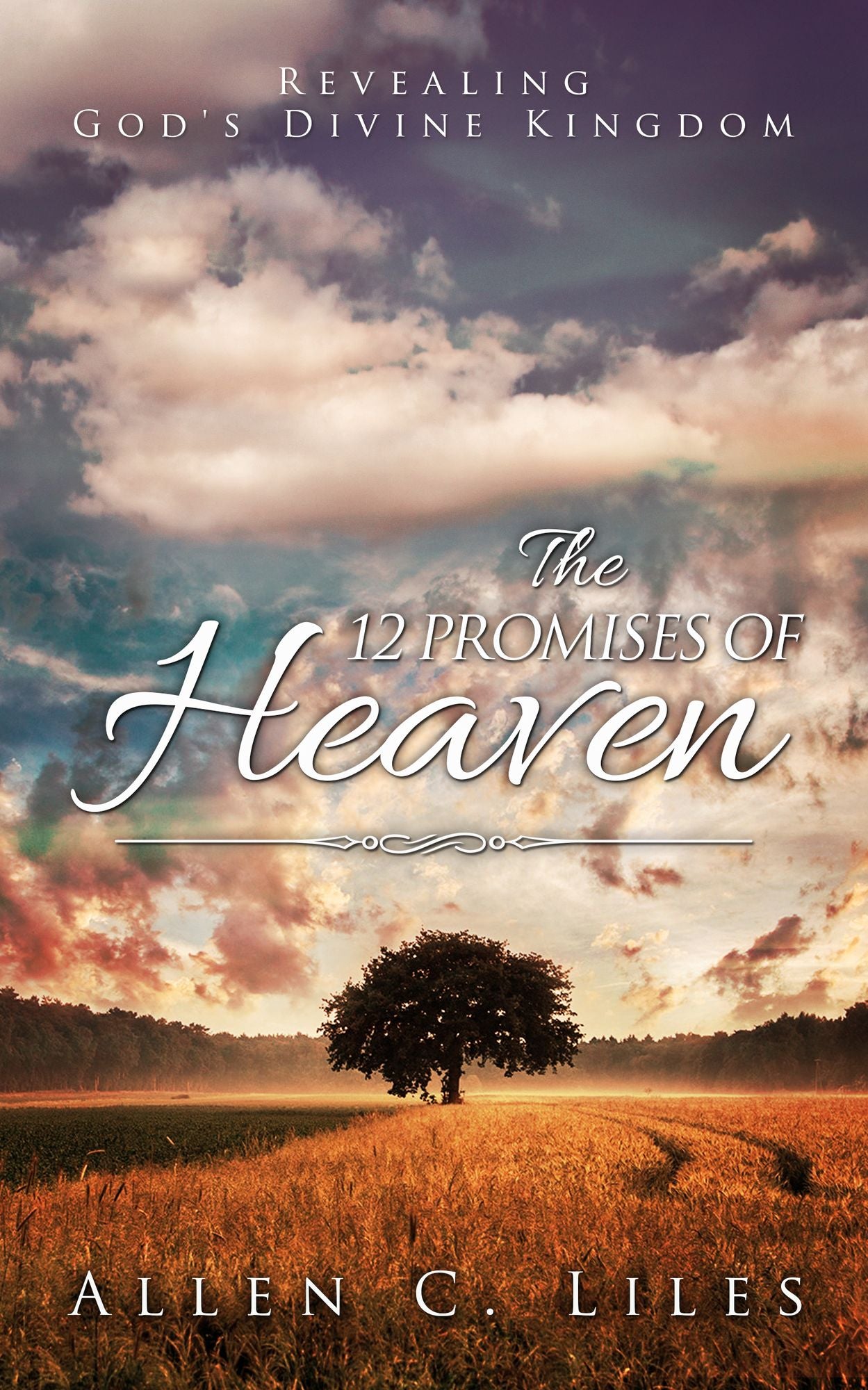 The 12 Promises of Heaven