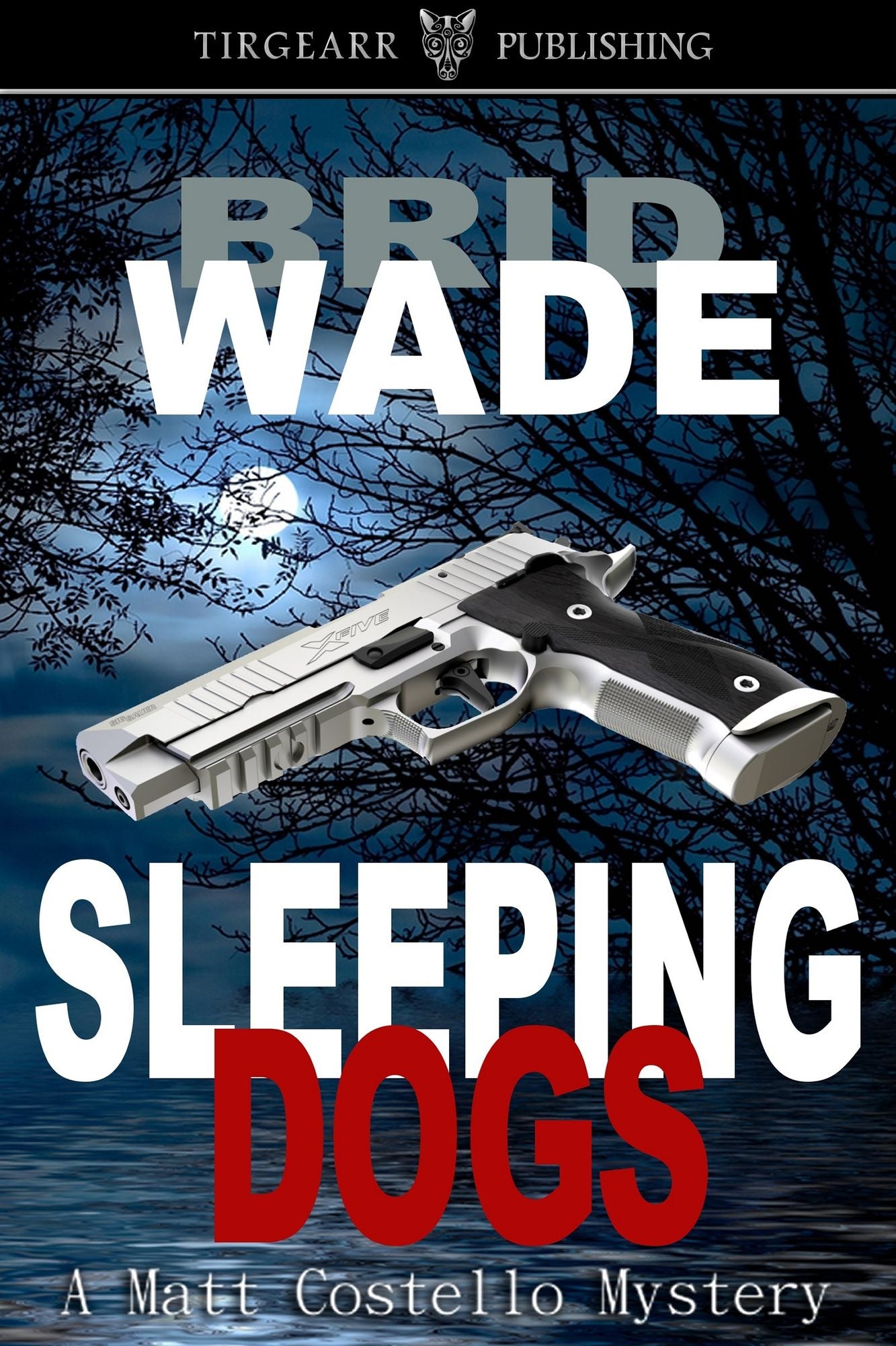 Sleeping Dogs (A Matt Costello Mystery, book two)
