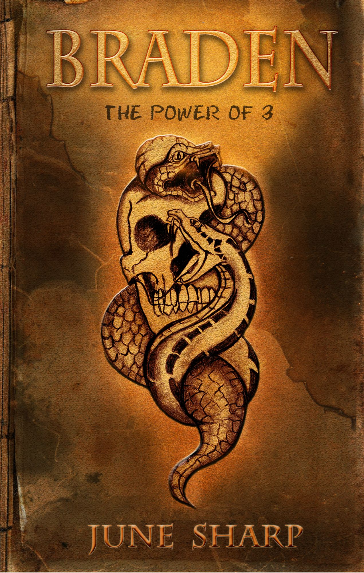 Braden ' Power of 3'