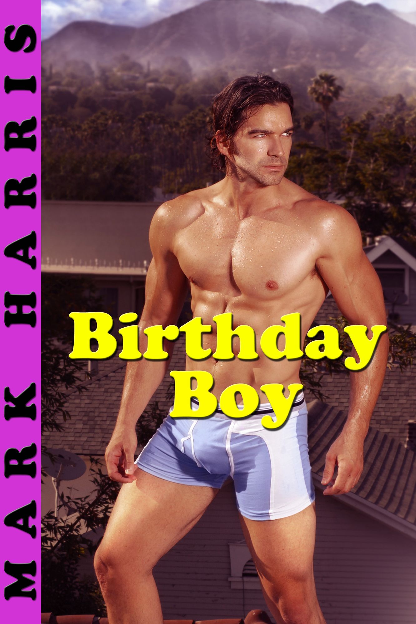 Birthday Boy (Gay Taboo Erotica)