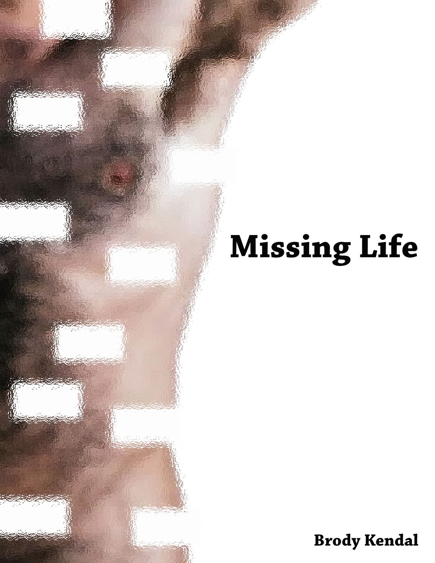 Missing Life