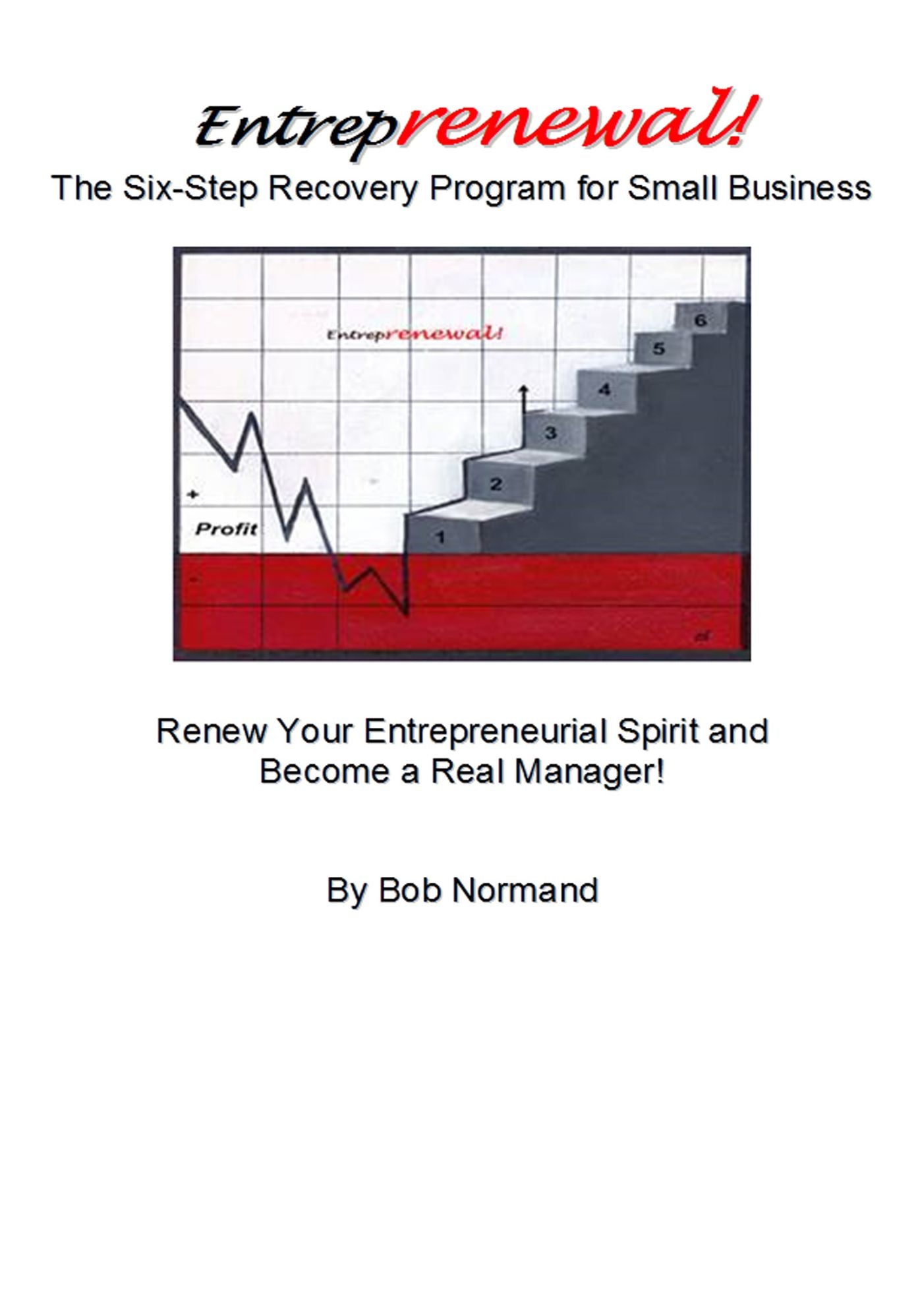 Entreprenewal, The Six Step Recovery Program for Small Business