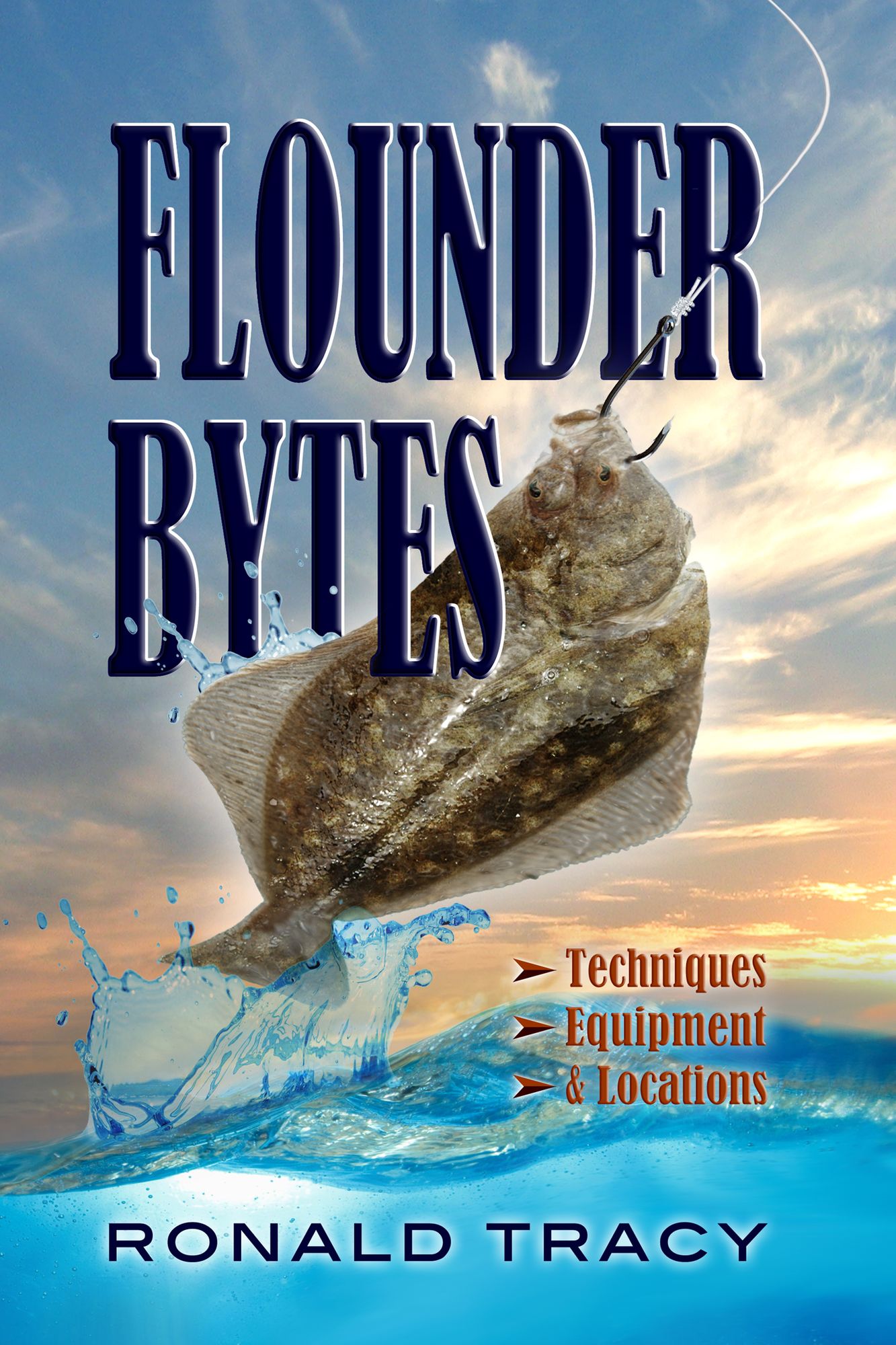 Flounder Bytes