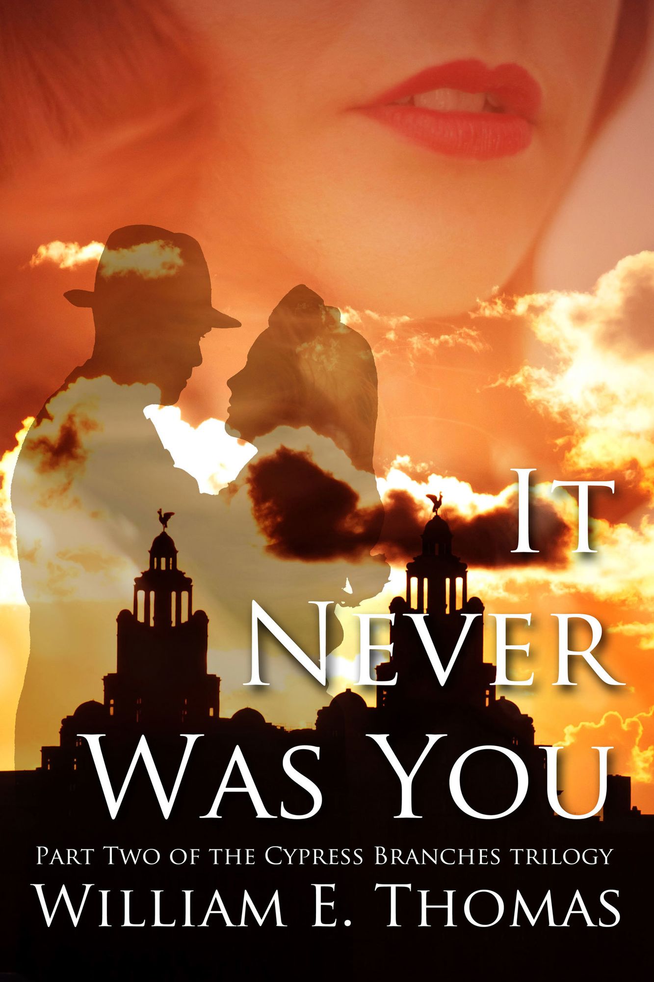 It Never Was You