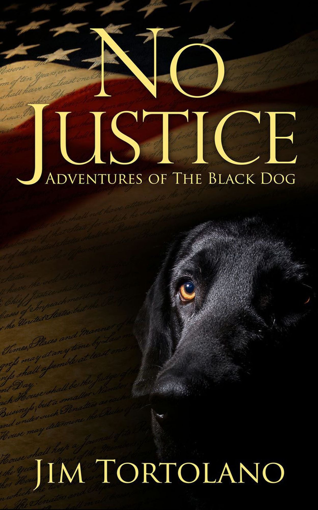 No Justice: Adventures of the Black Dog