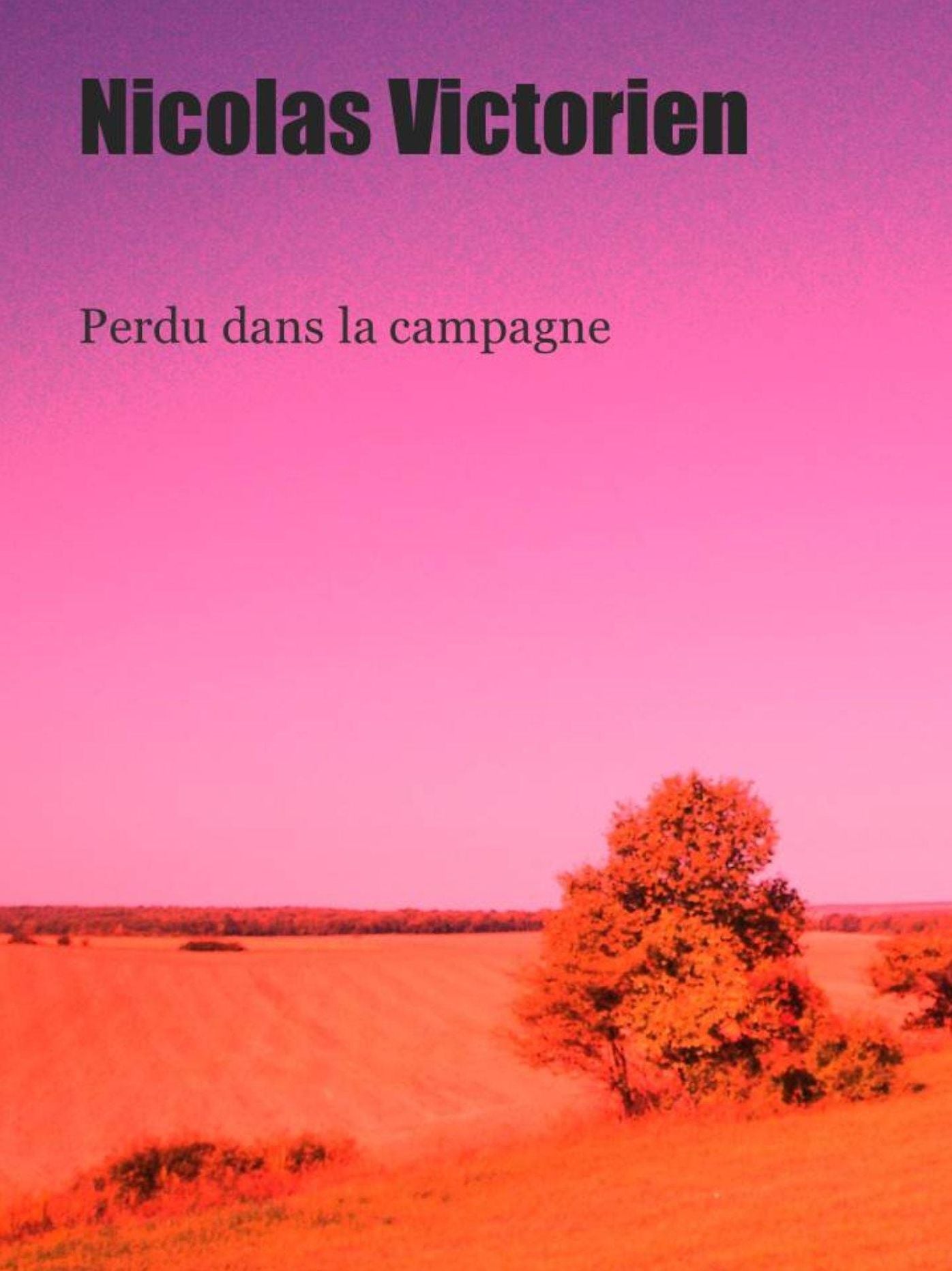 Perdu dans la campagne