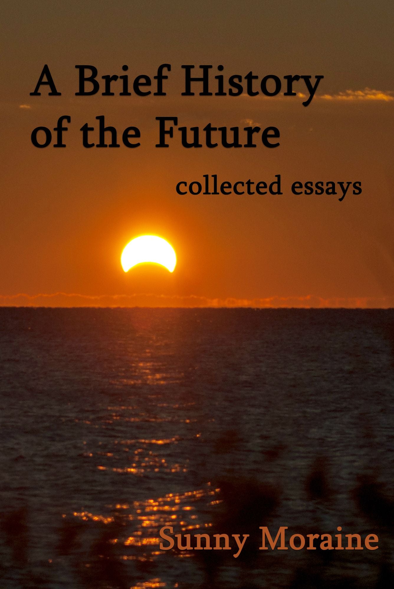A Brief History of the Future: collected essays
