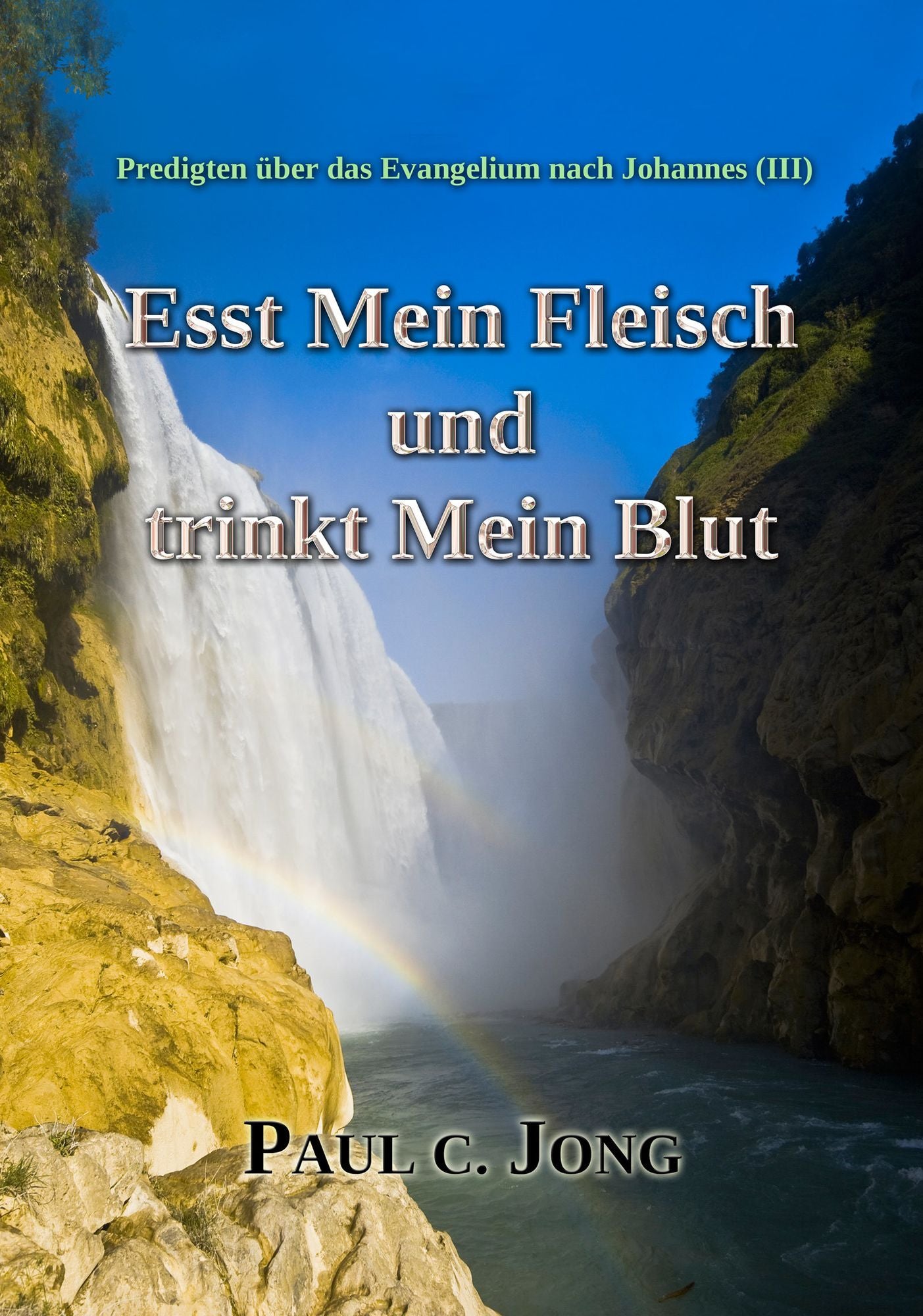 Predigten über das Evangelium nach Johannes (III) - Esst Mein Fleisch Und Trinkt Mein Blut