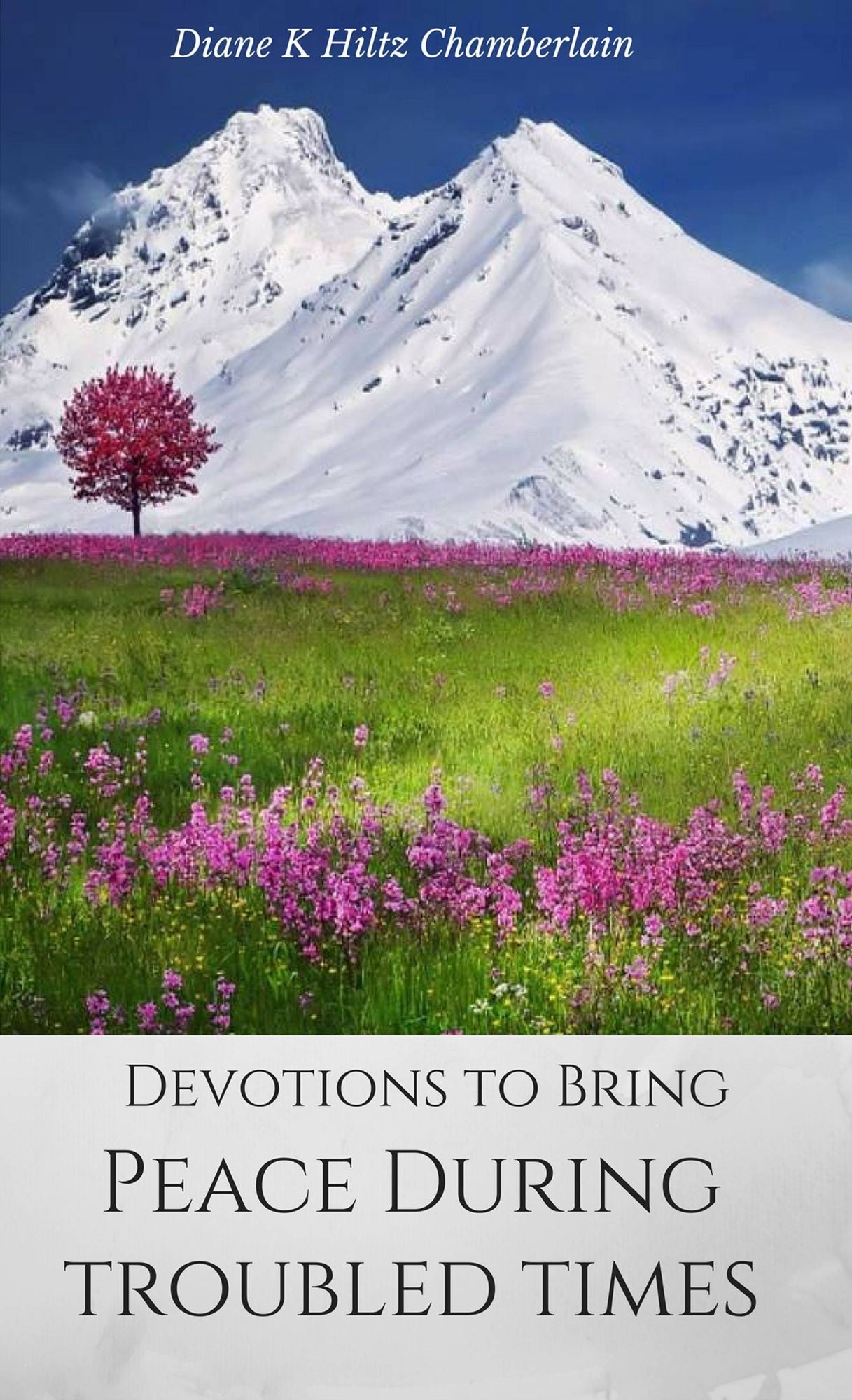 Devotions to Bring Peace During Troubled Times