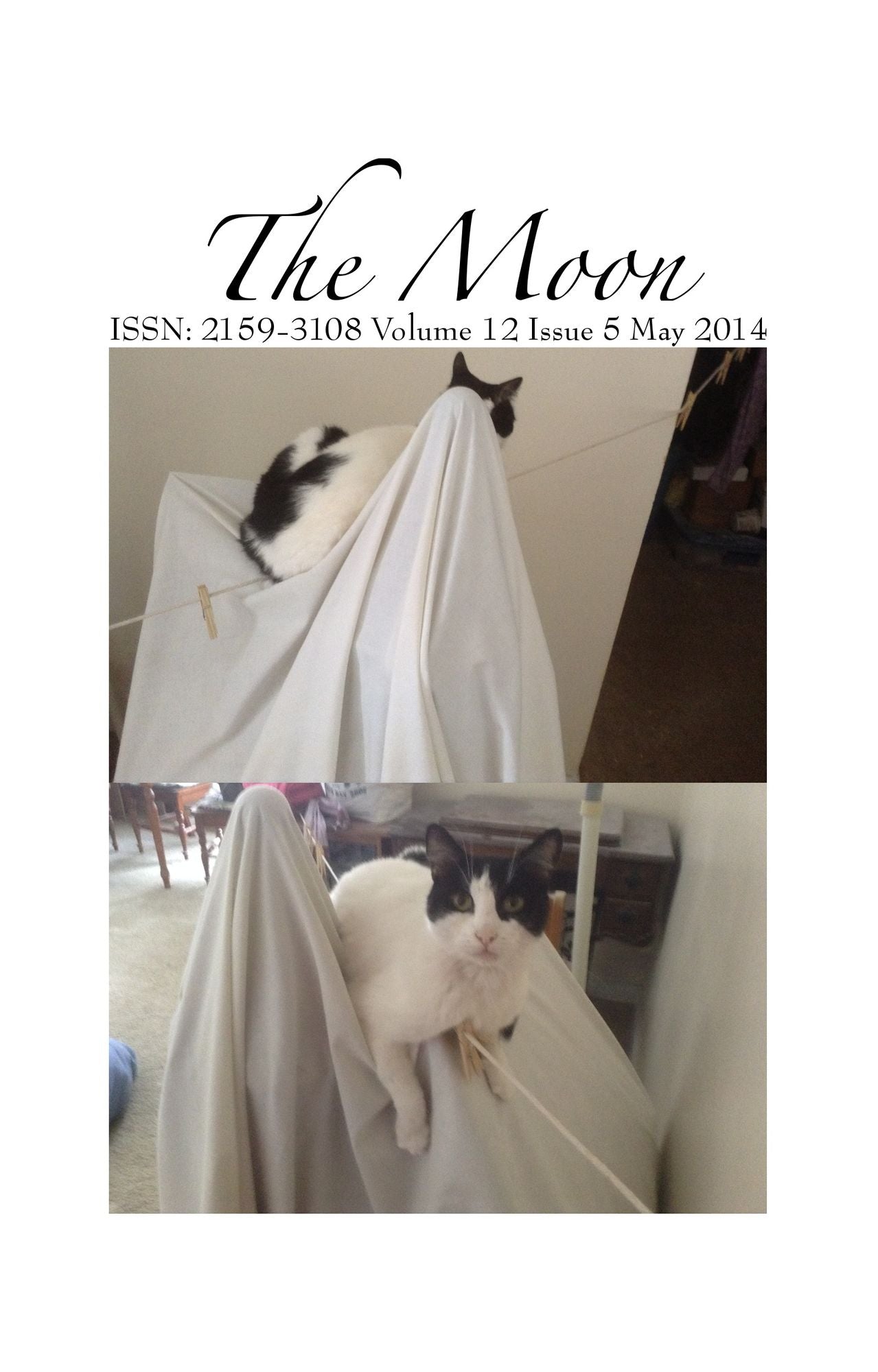 The Moon 1205
