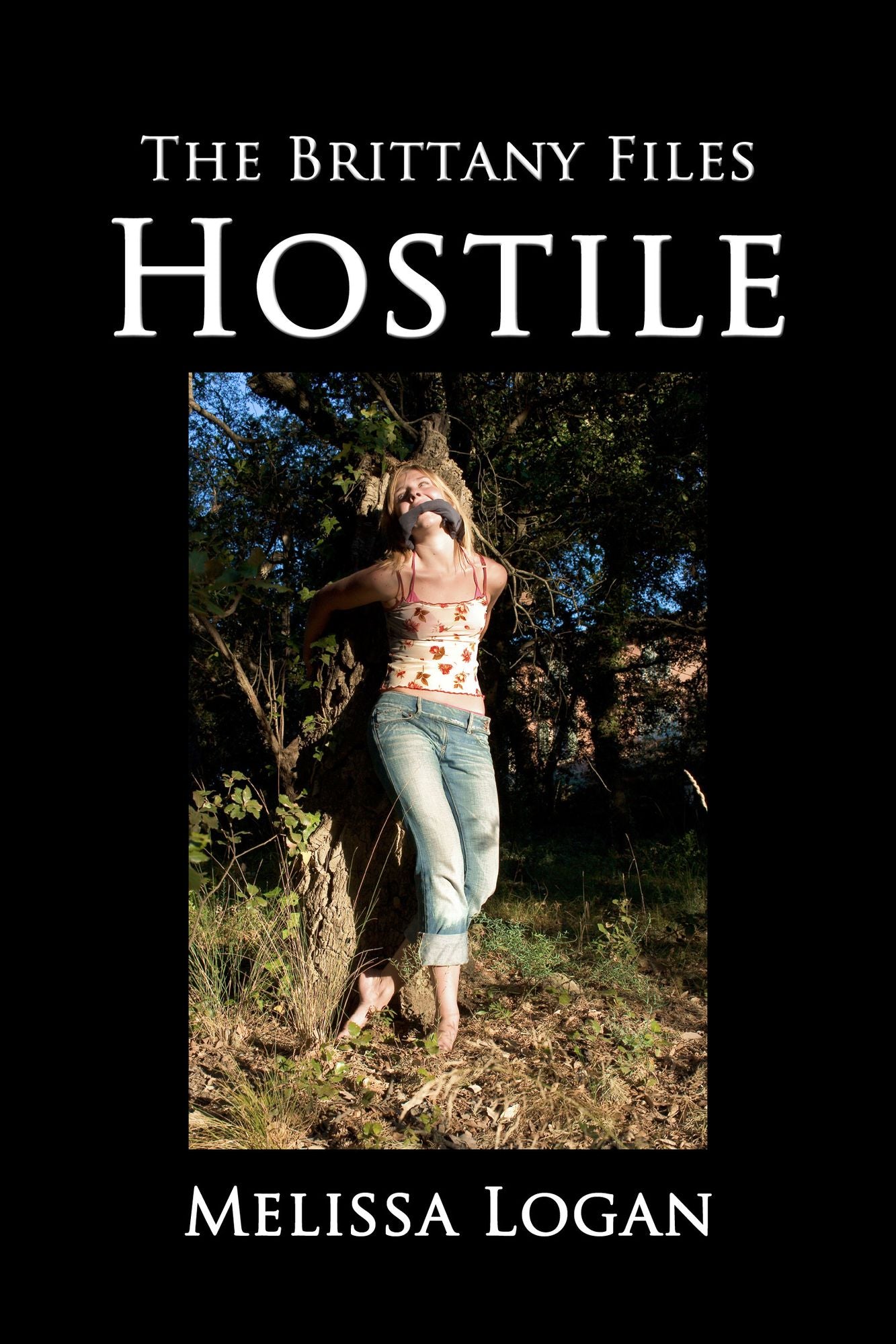 The Brittany Files: Hostile