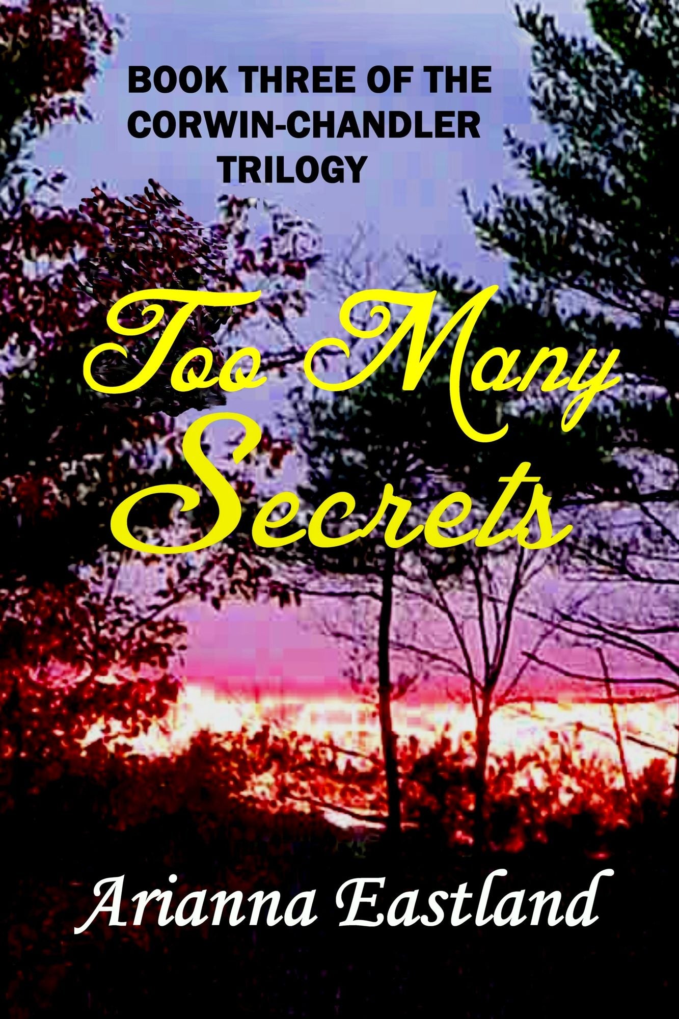 Too Many Secrets (book three of the Corwin-Chandler trilogy)