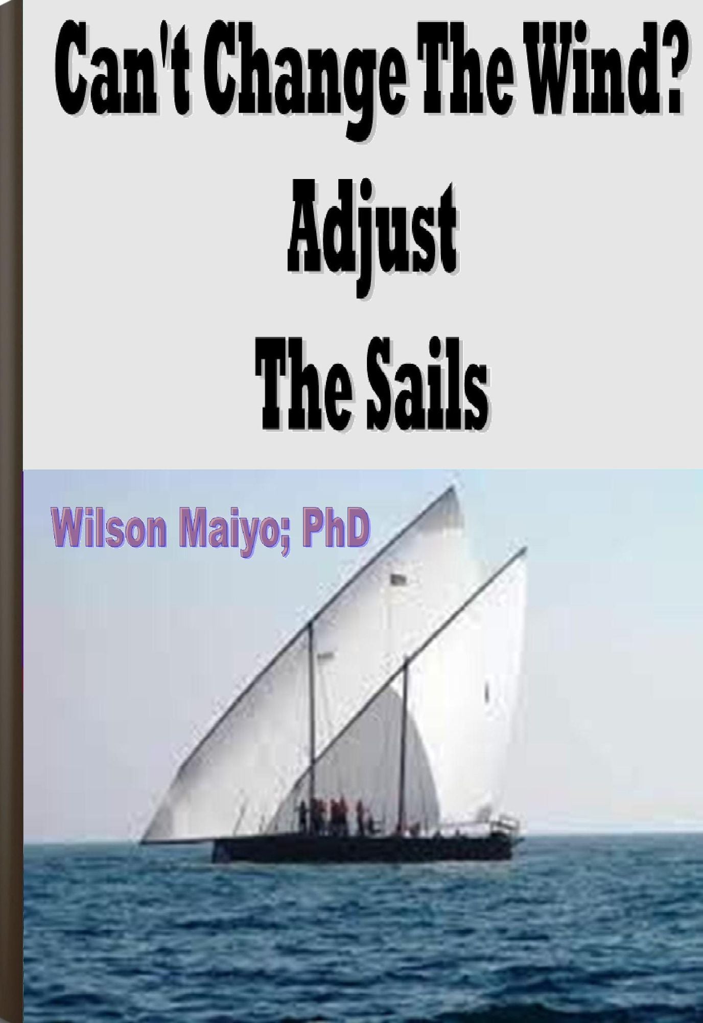 Can't Change The Wind? Adjust The Sails
