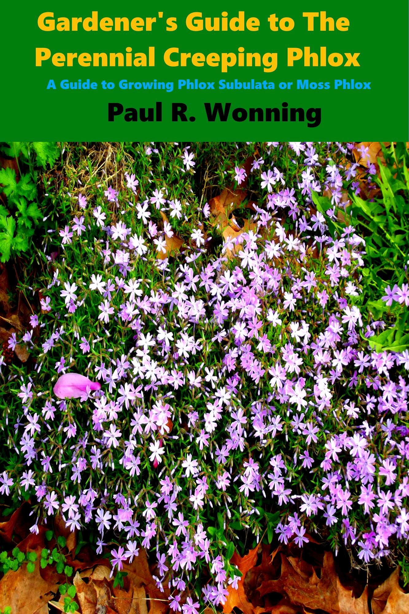 Gardener's Guide to The Perennial Creeping Phlox