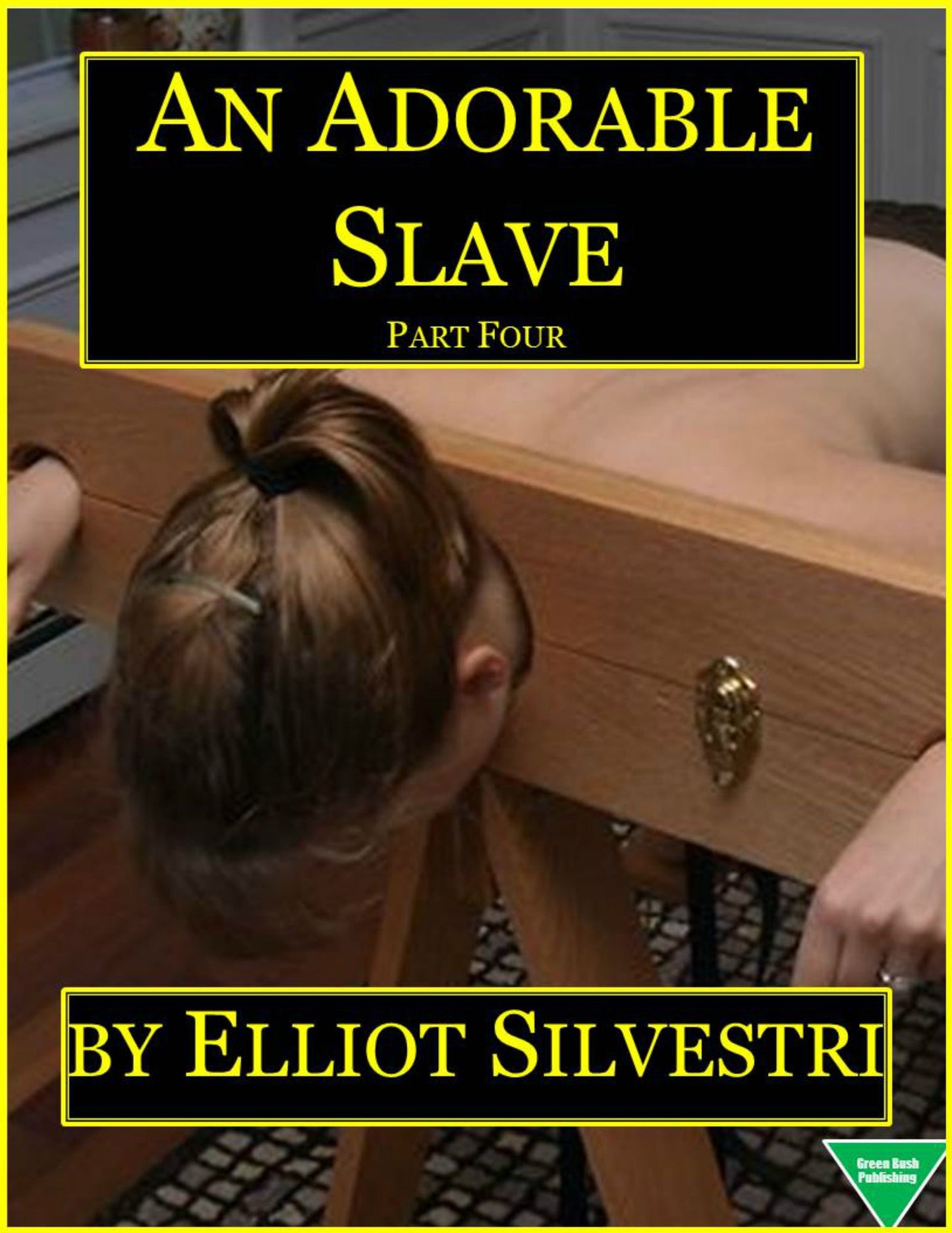 An Adorable Slave (Part Four)