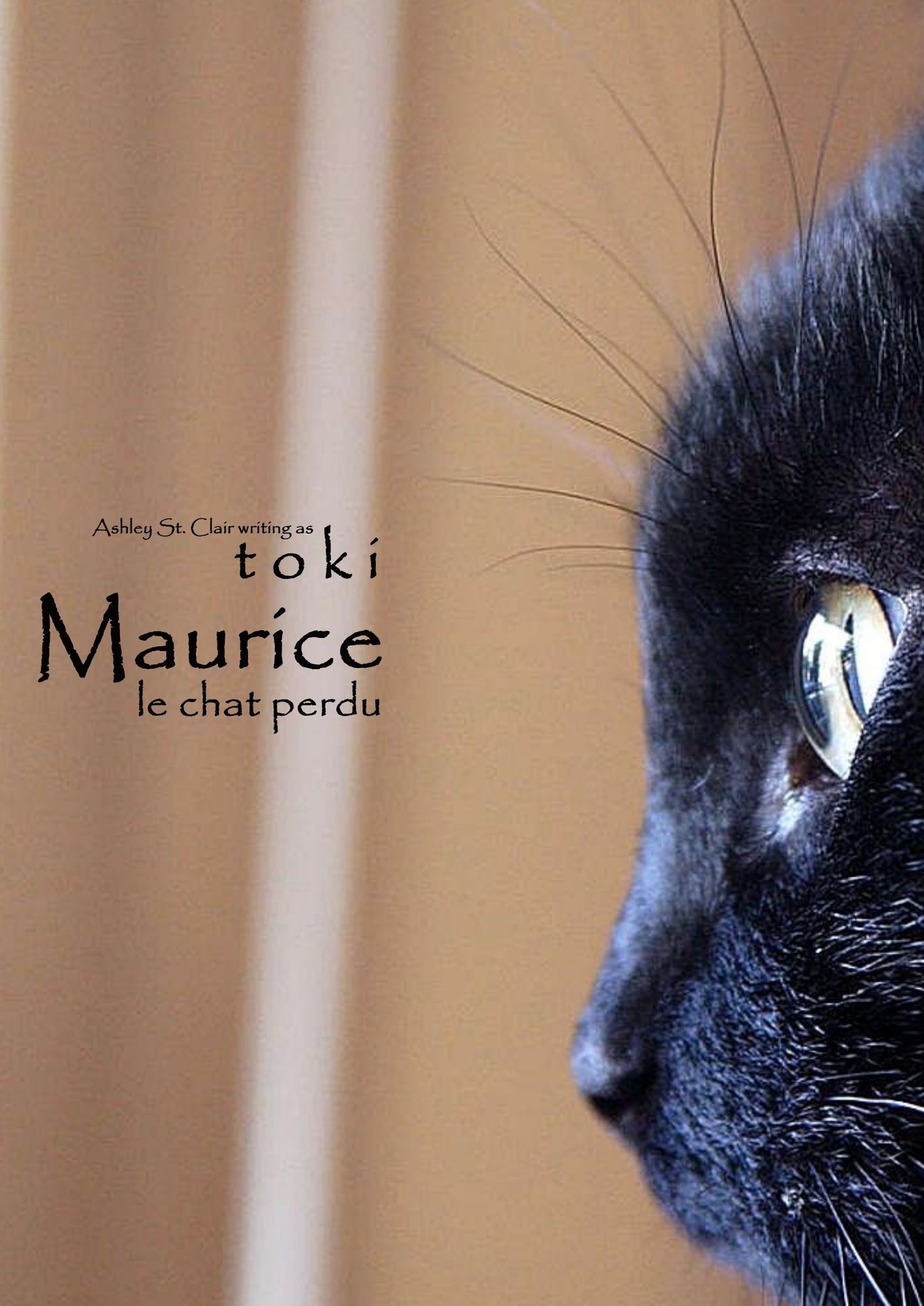 Maurice, le chat perdu