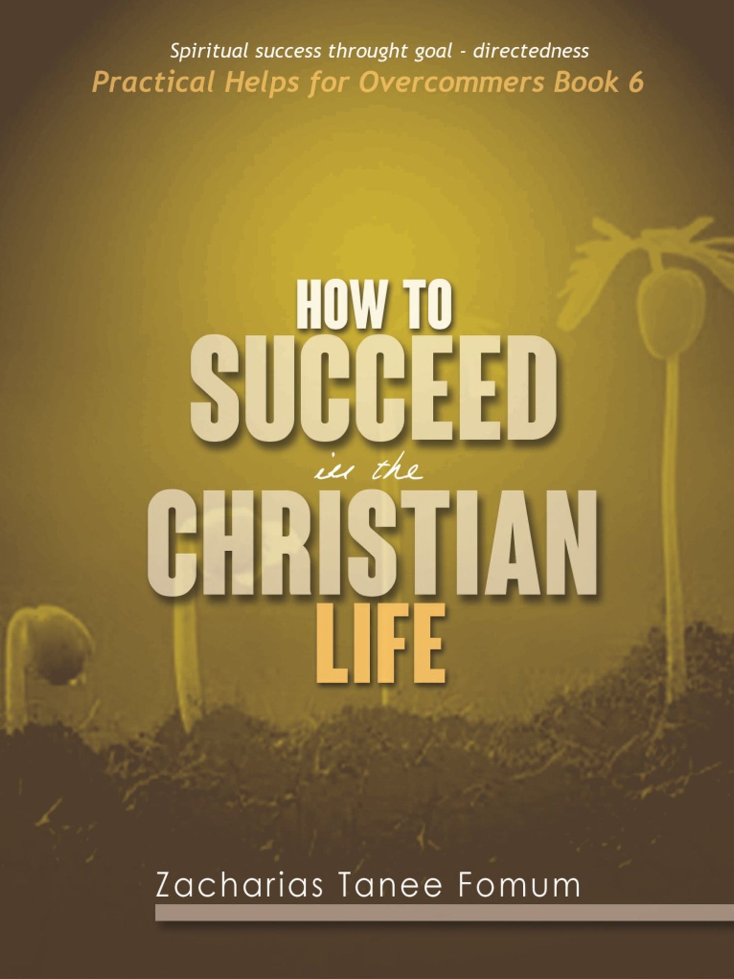 How To Succeed In The Christian Life