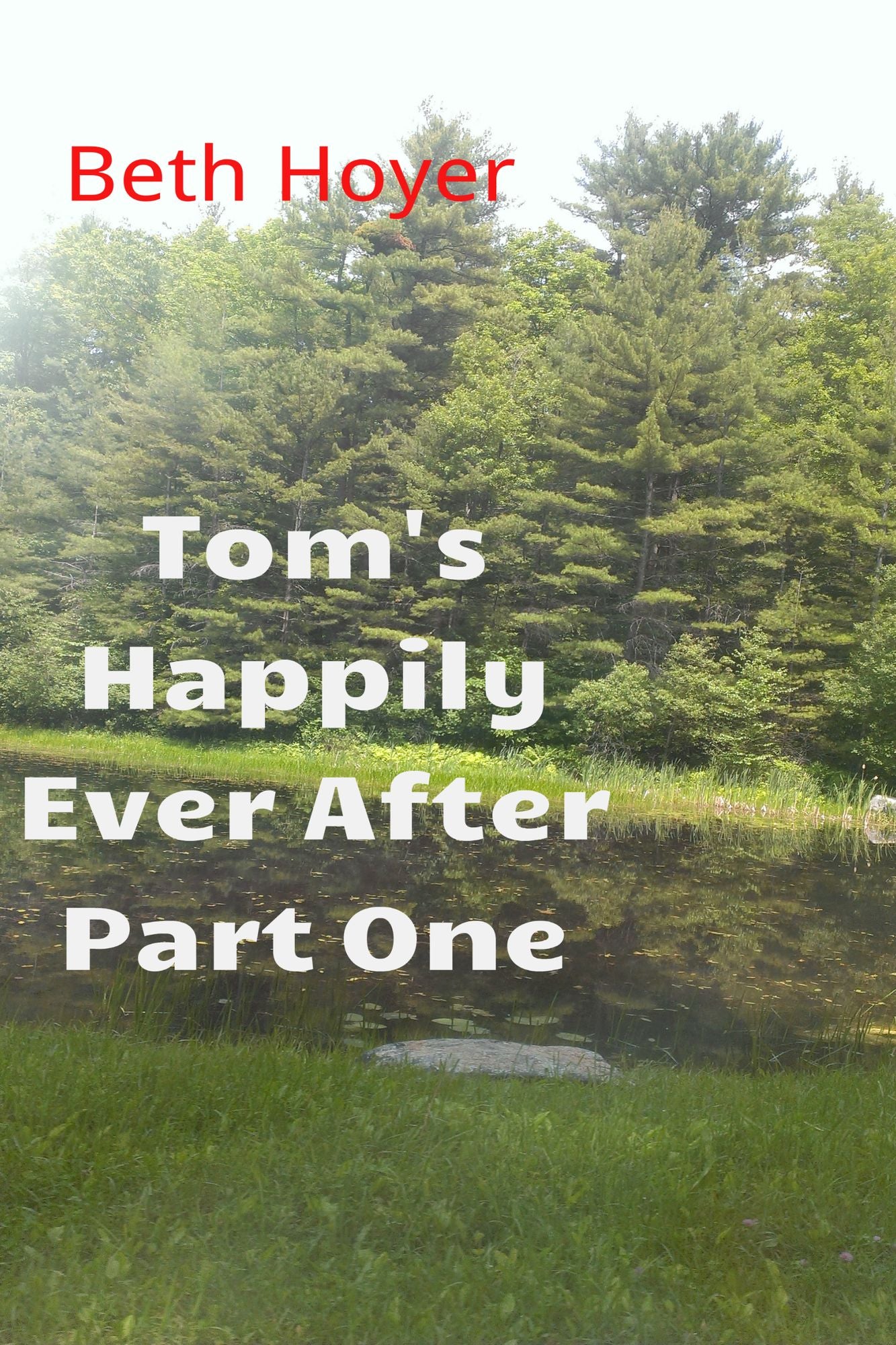 Tom's Happily Ever After Part One
