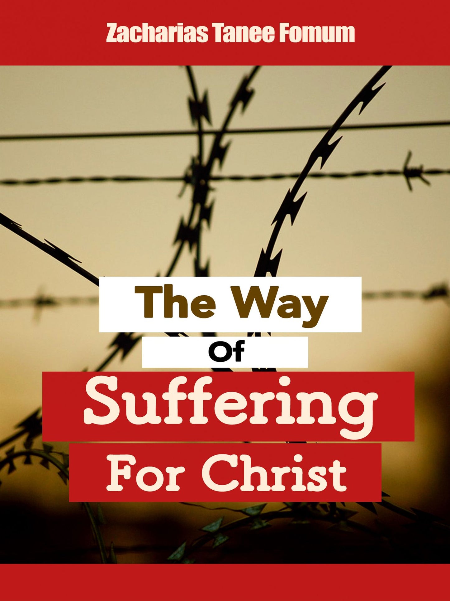 The Way of Suffering For Christ