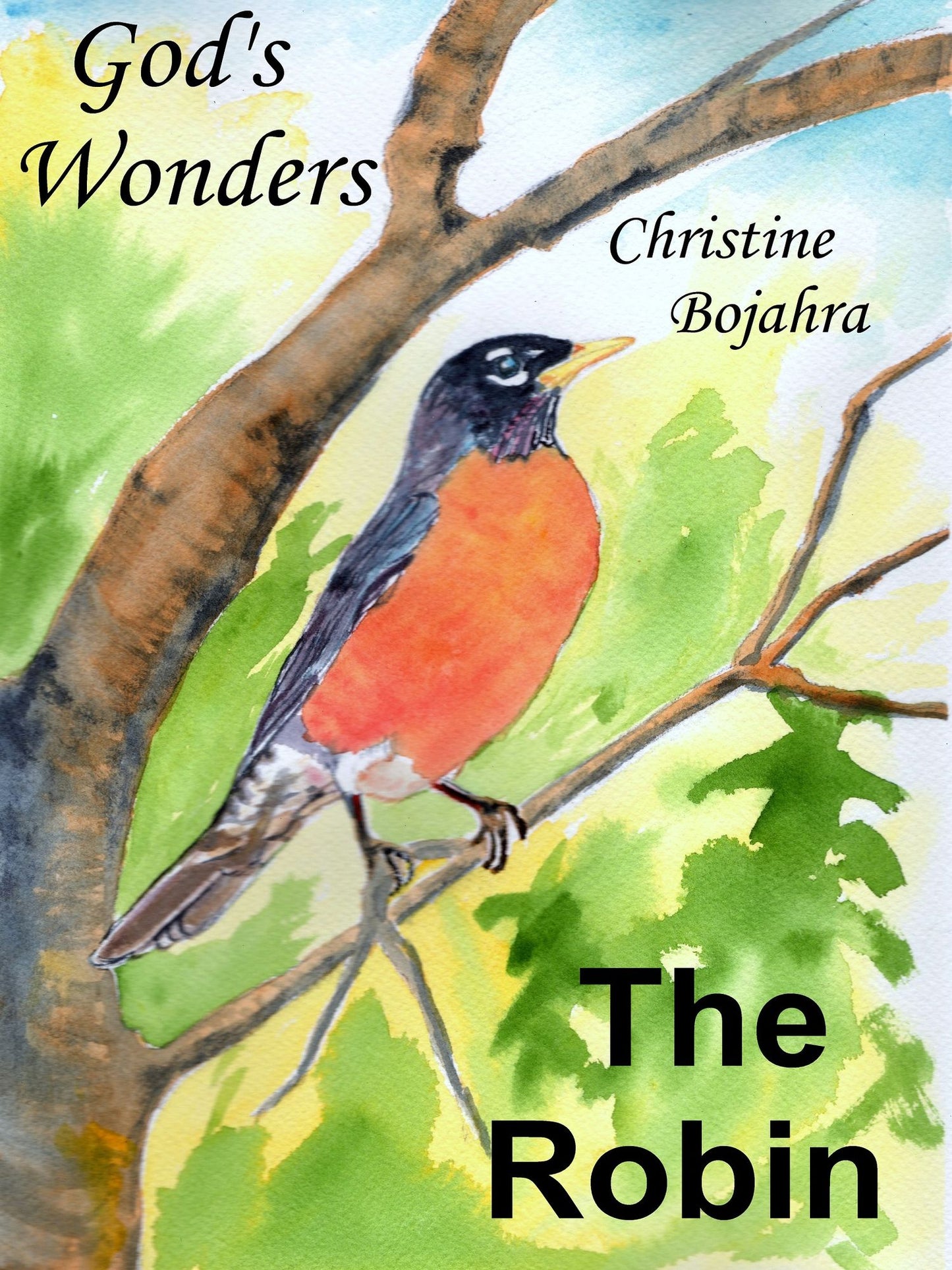 God's Wonders,The Robin