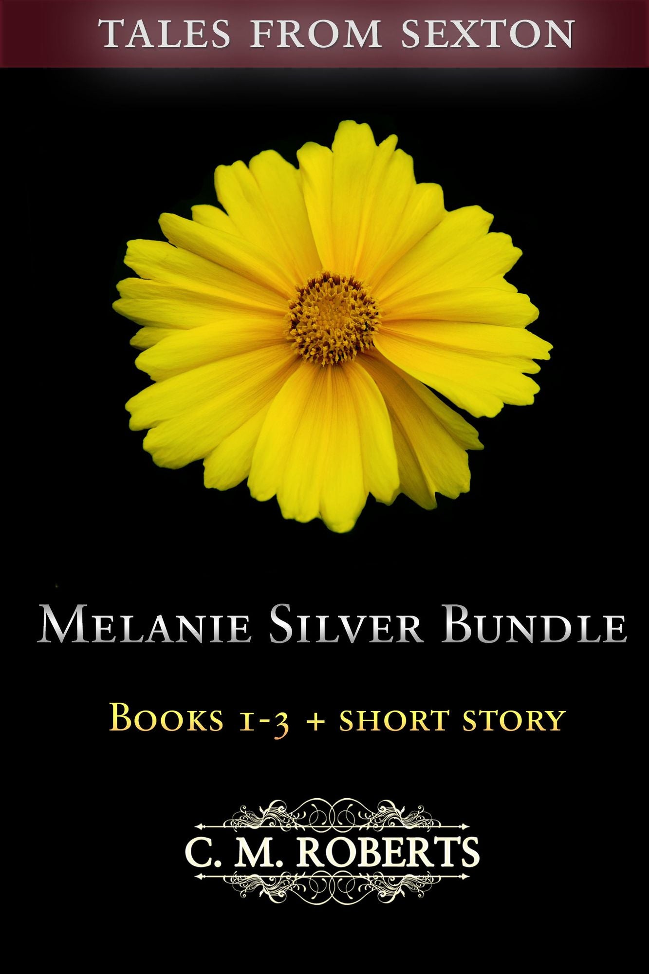 Melanie Silver Bundle #1 (Books 1-3 + Short Story)