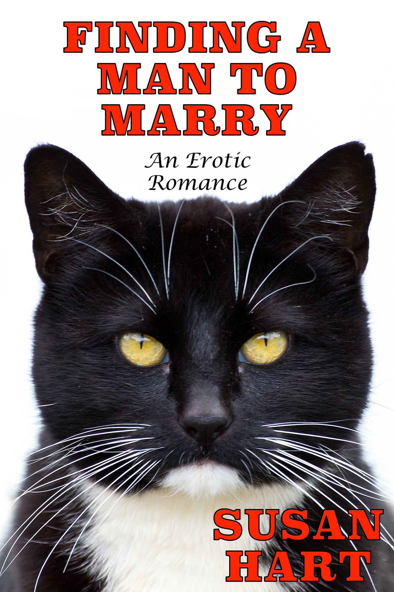 Finding A Man To Marry: An Erotic Romance