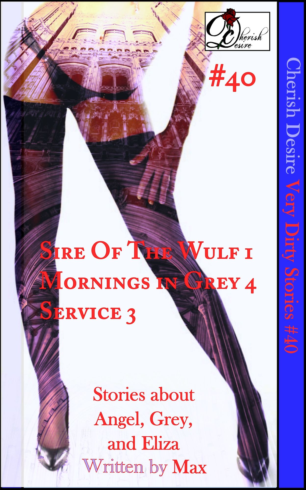 Very Dirty Stories #40