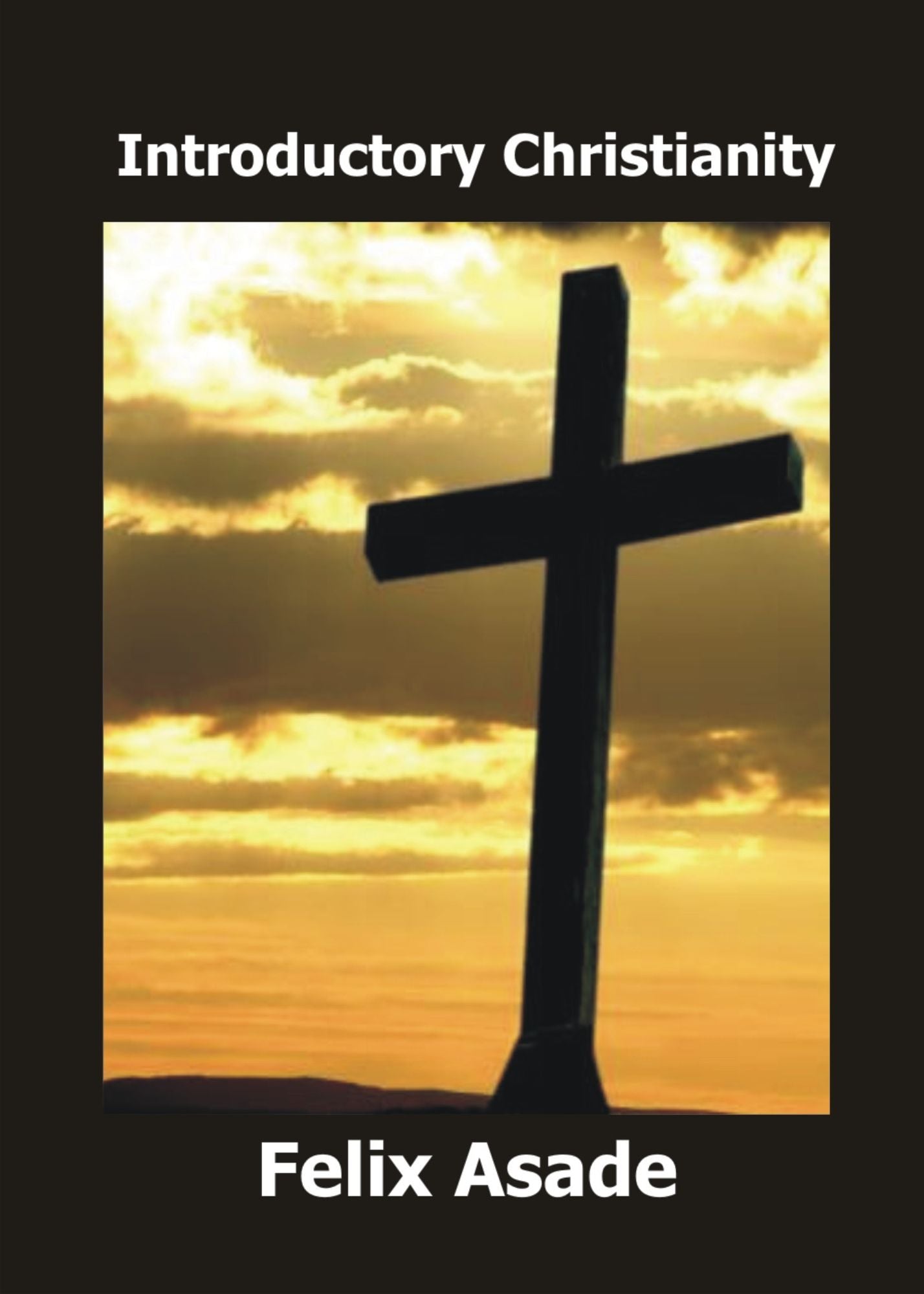 Introductory Christianity