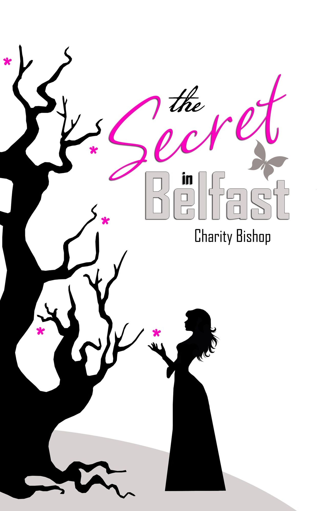The Secret in Belfast