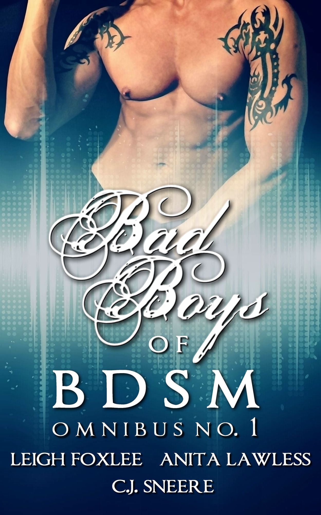 Bad Boys of BDSM Omnibus No. 1