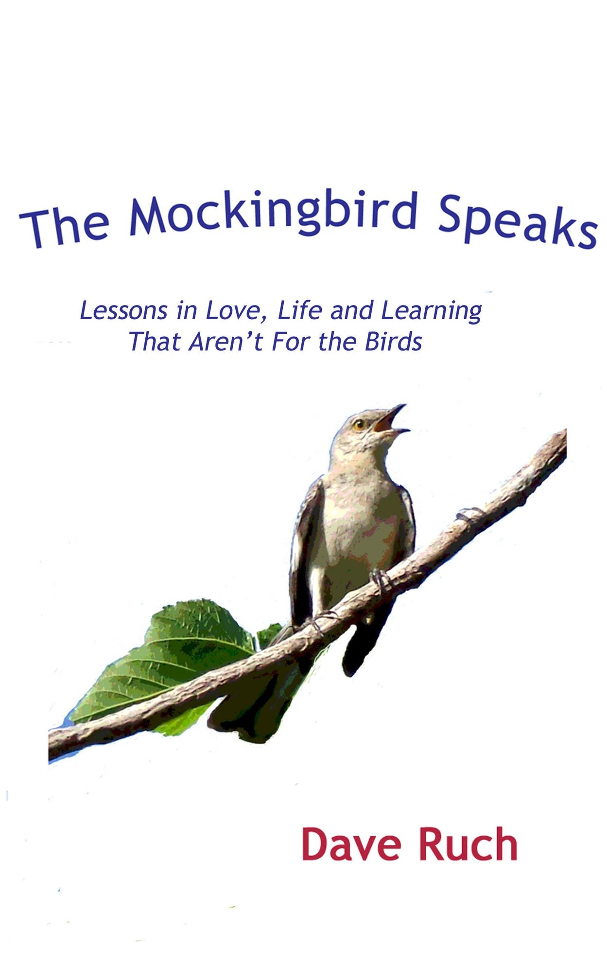 The Mockingbird Speaks
