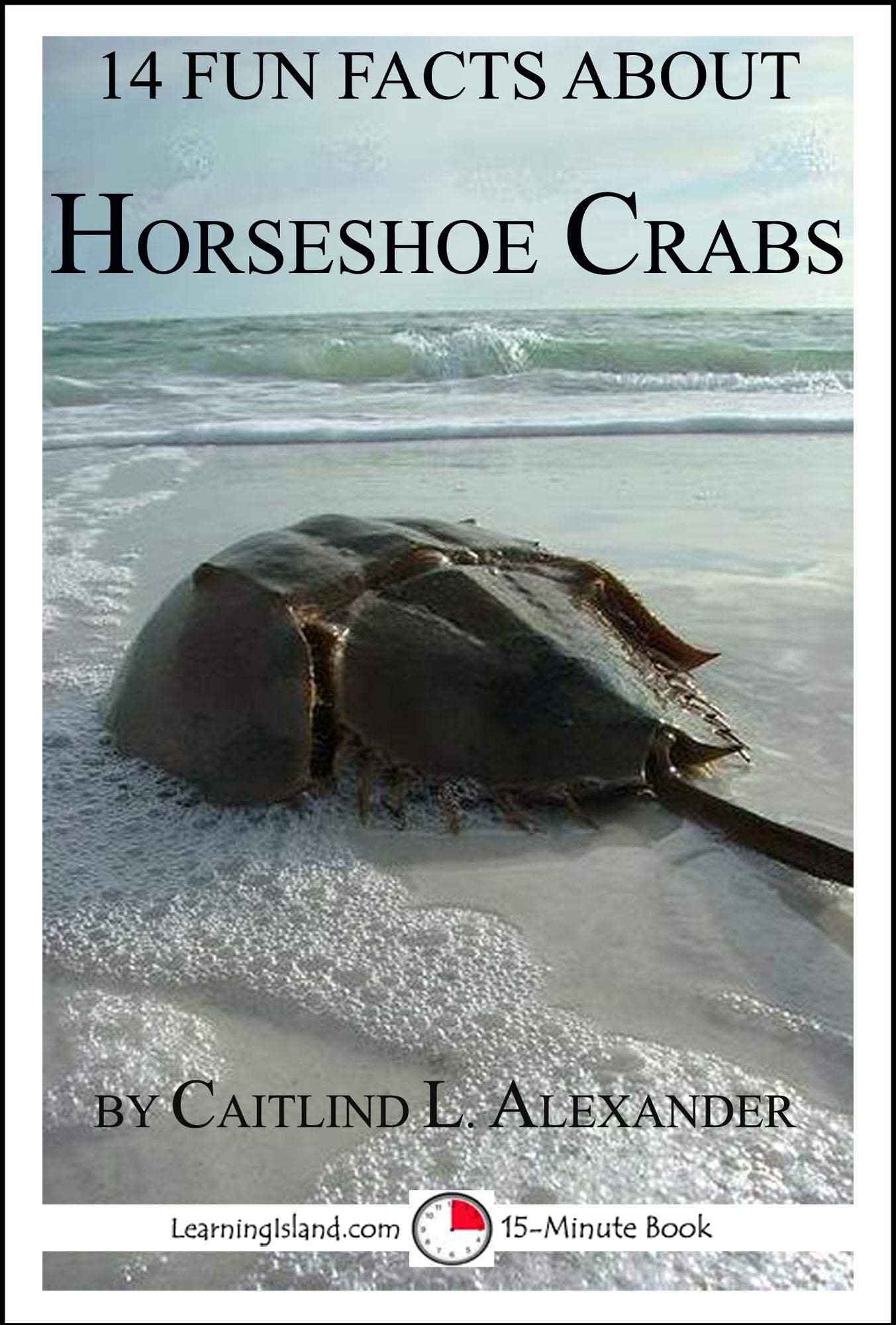 14 Fun Facts About Horseshoe Crabs: A 15-Minute Book