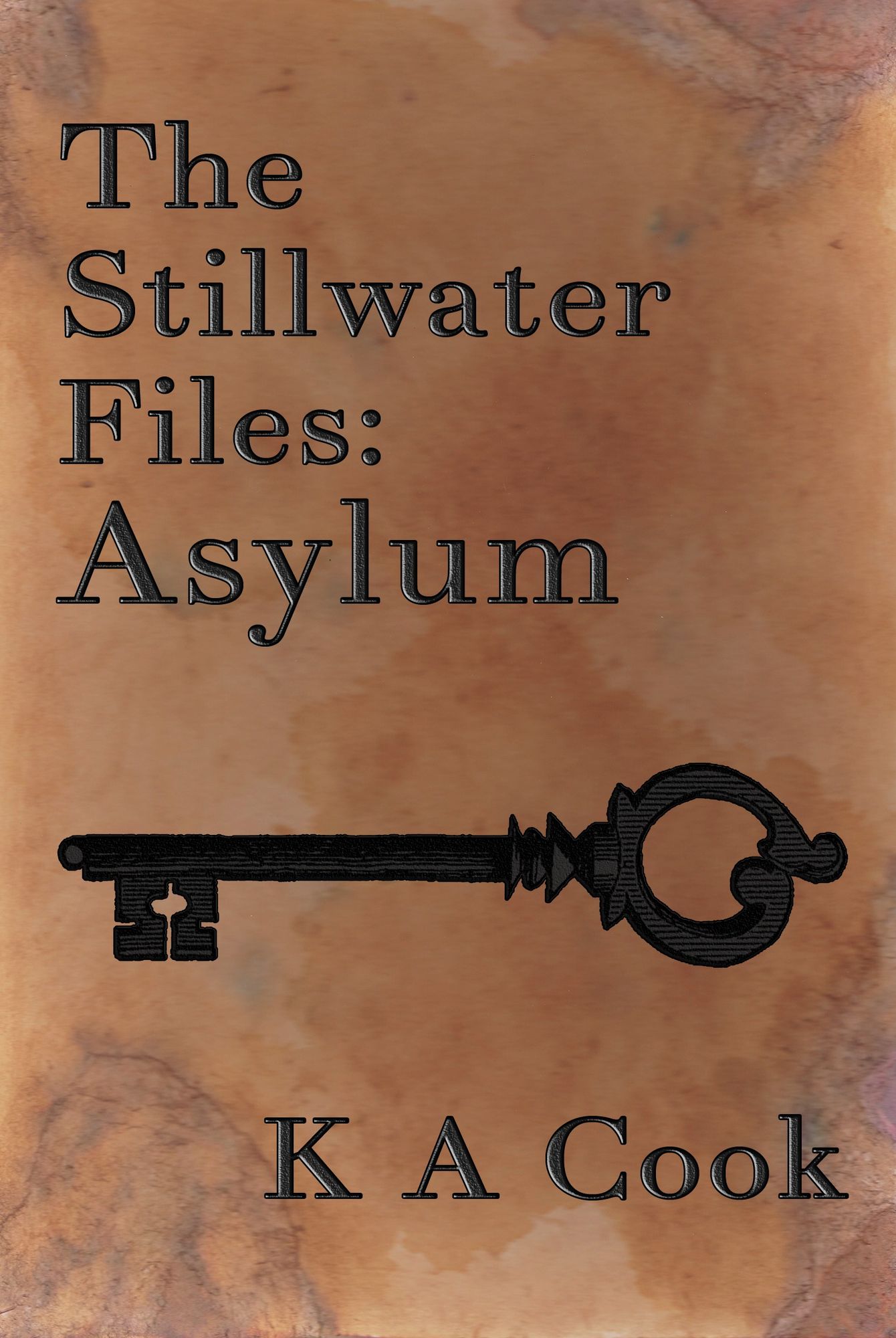 The Stillwater Files: Asylum