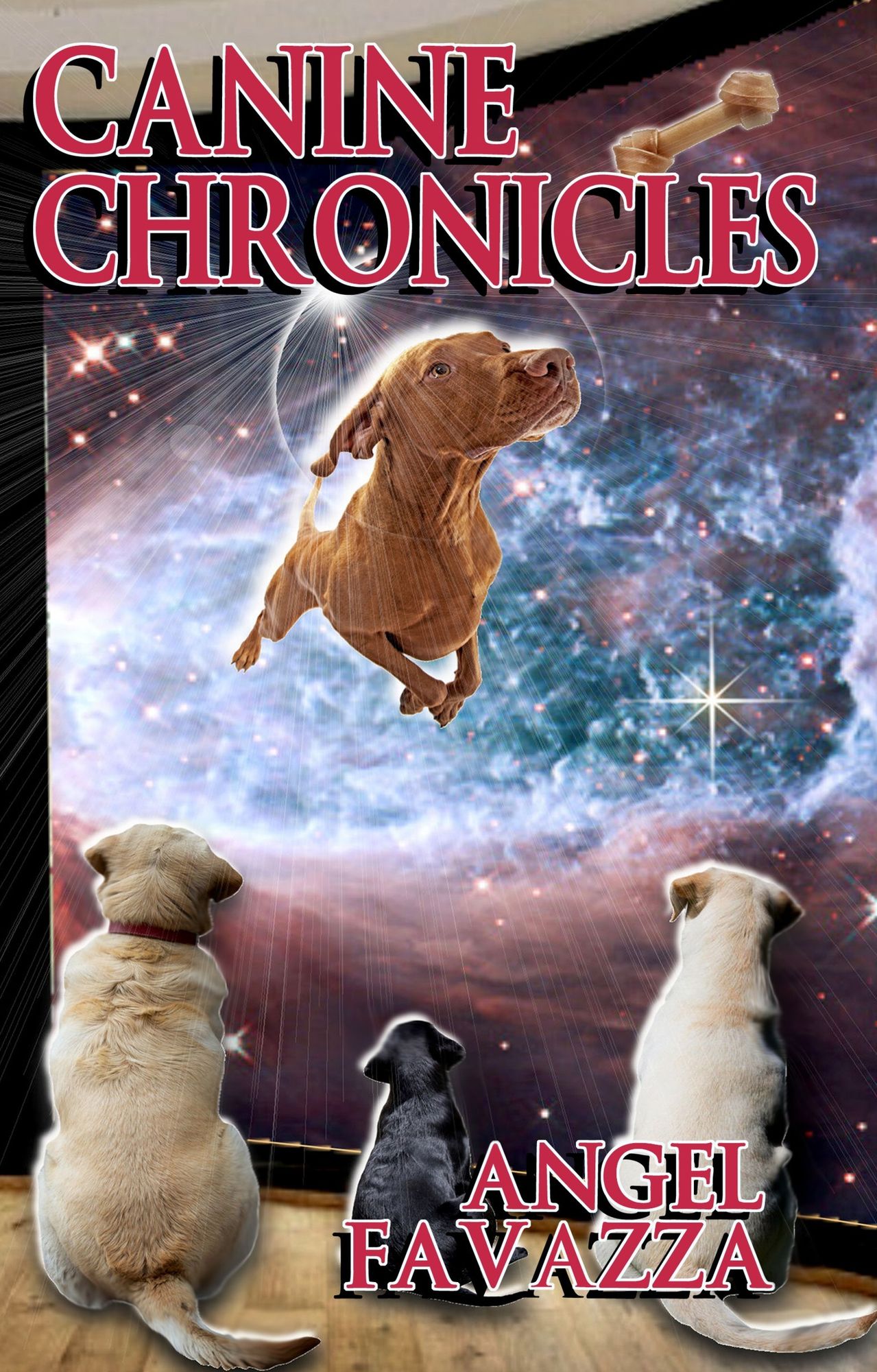 Canine Chronicles