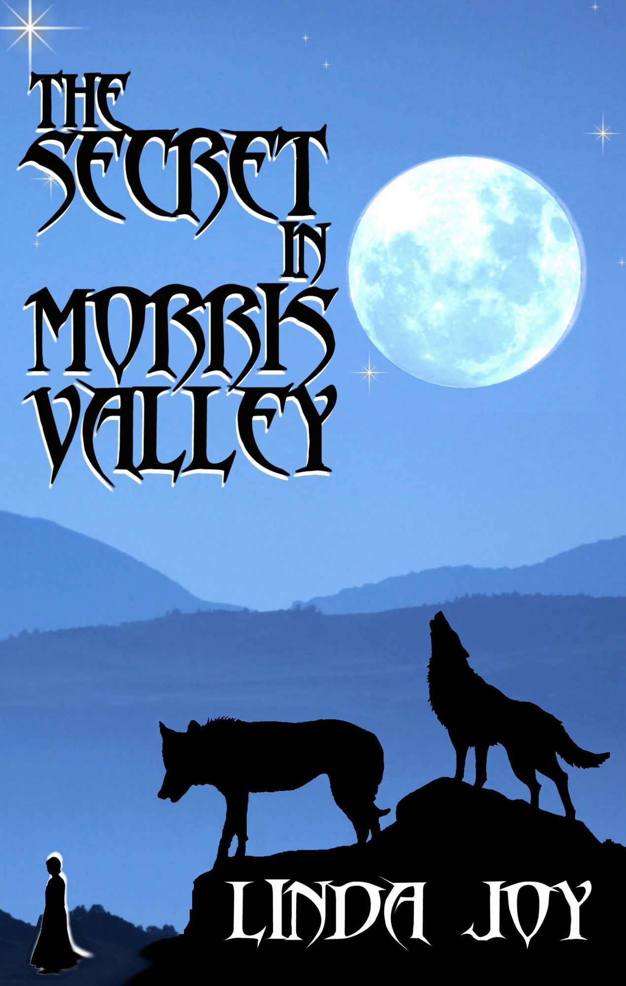 The Secret in Morris Valley
