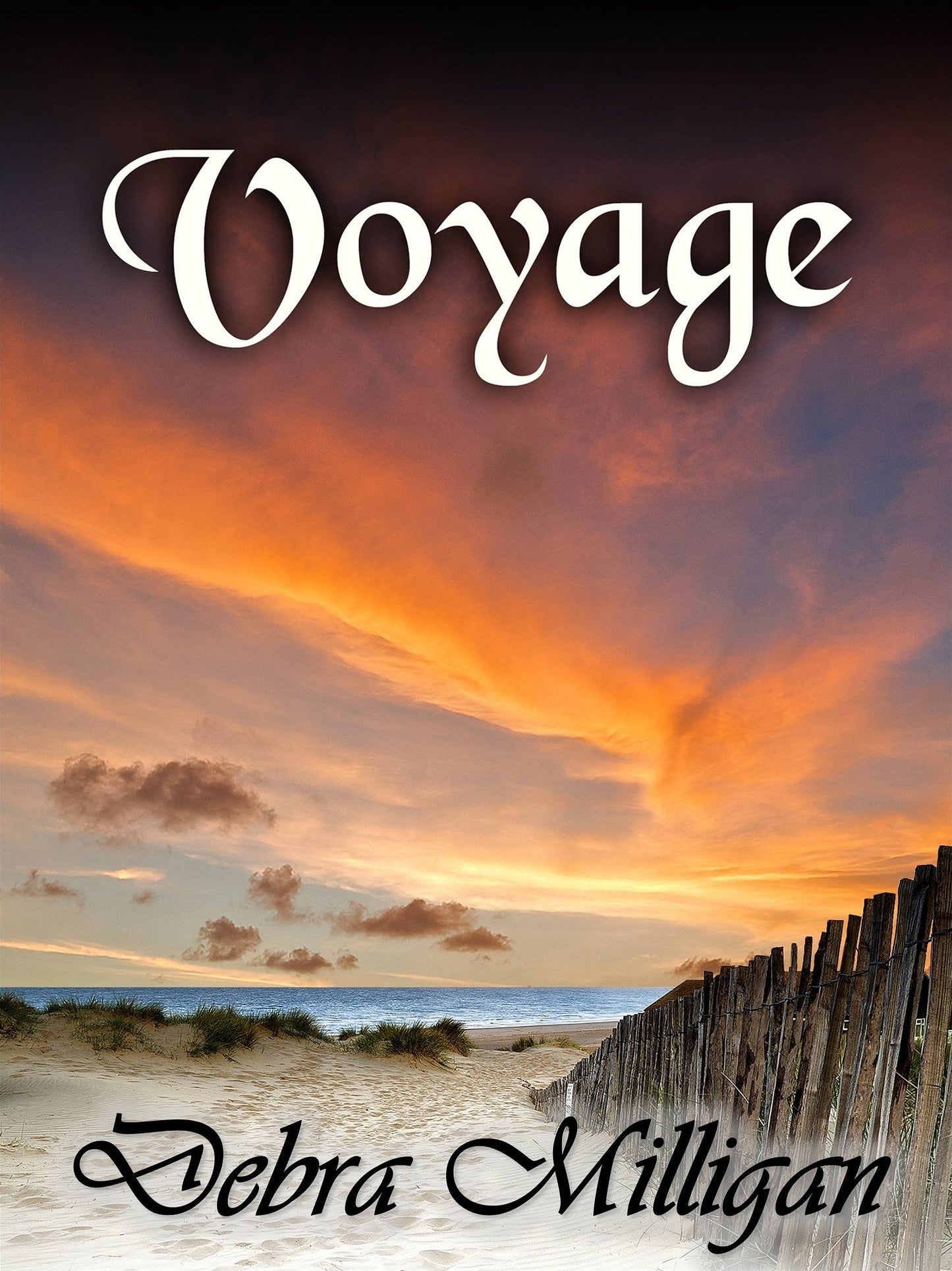 Voyage
