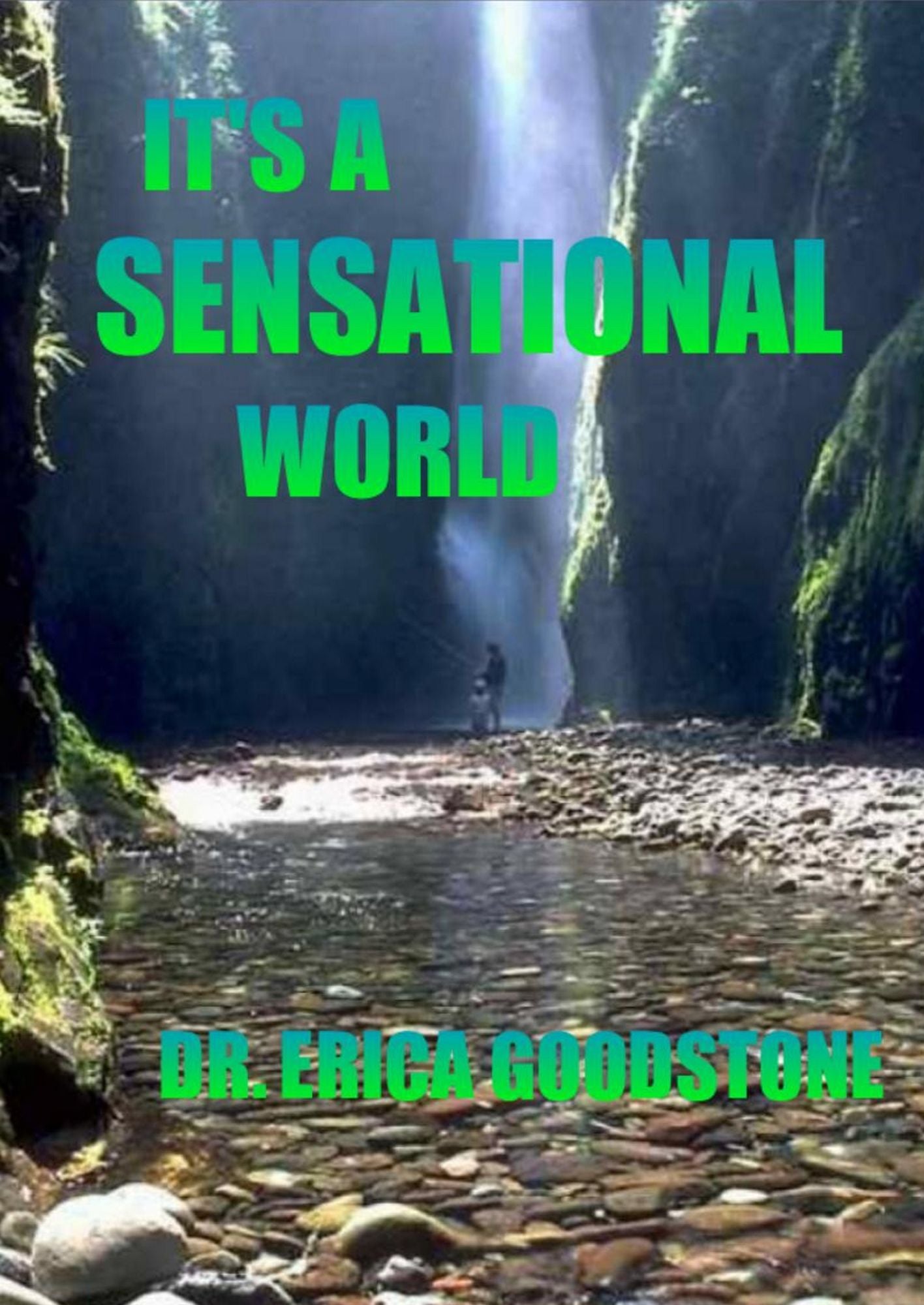 It's A Sensational World