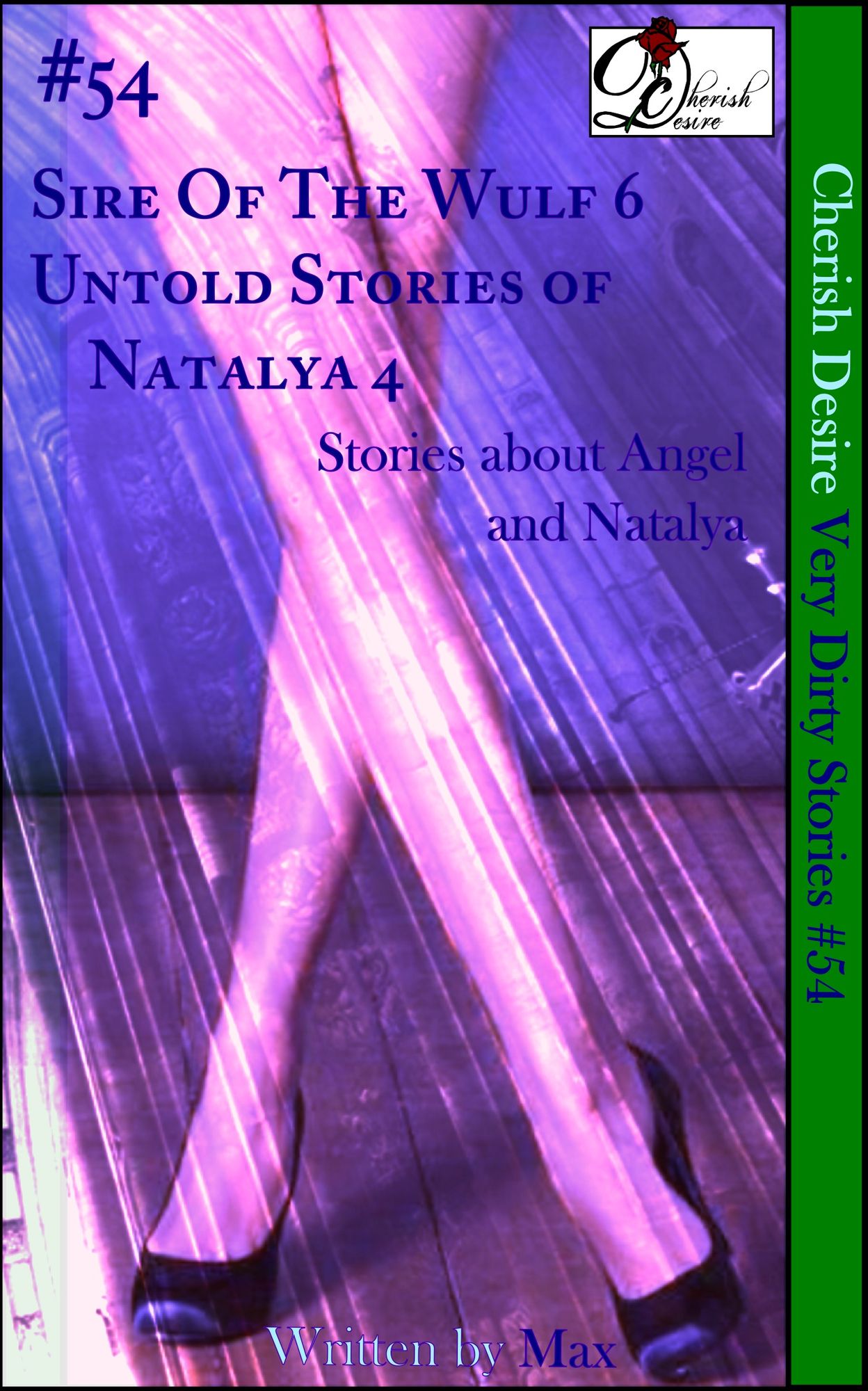 Very Dirty Stories #54