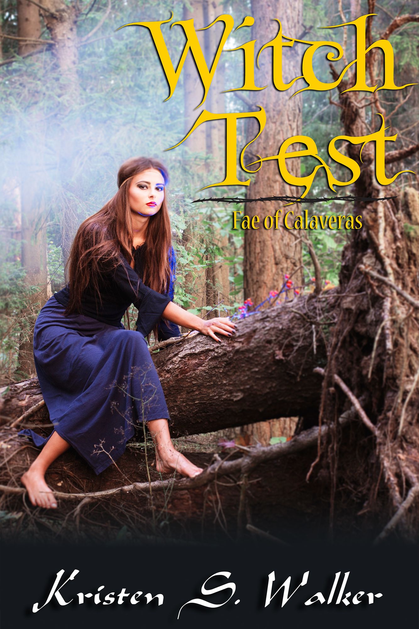 Witch Test