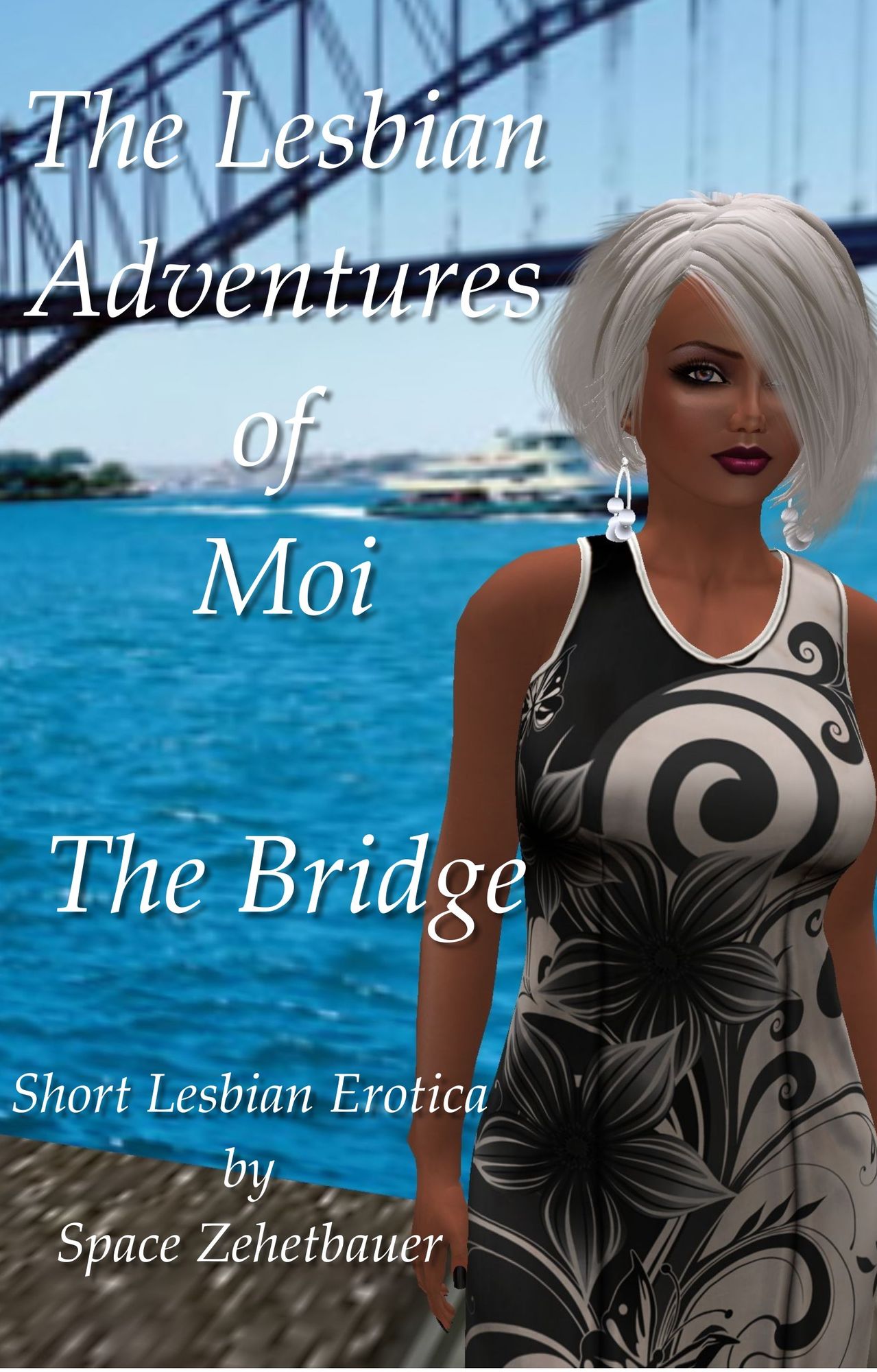 The Lesbian Adventures of Moi: The Bridge