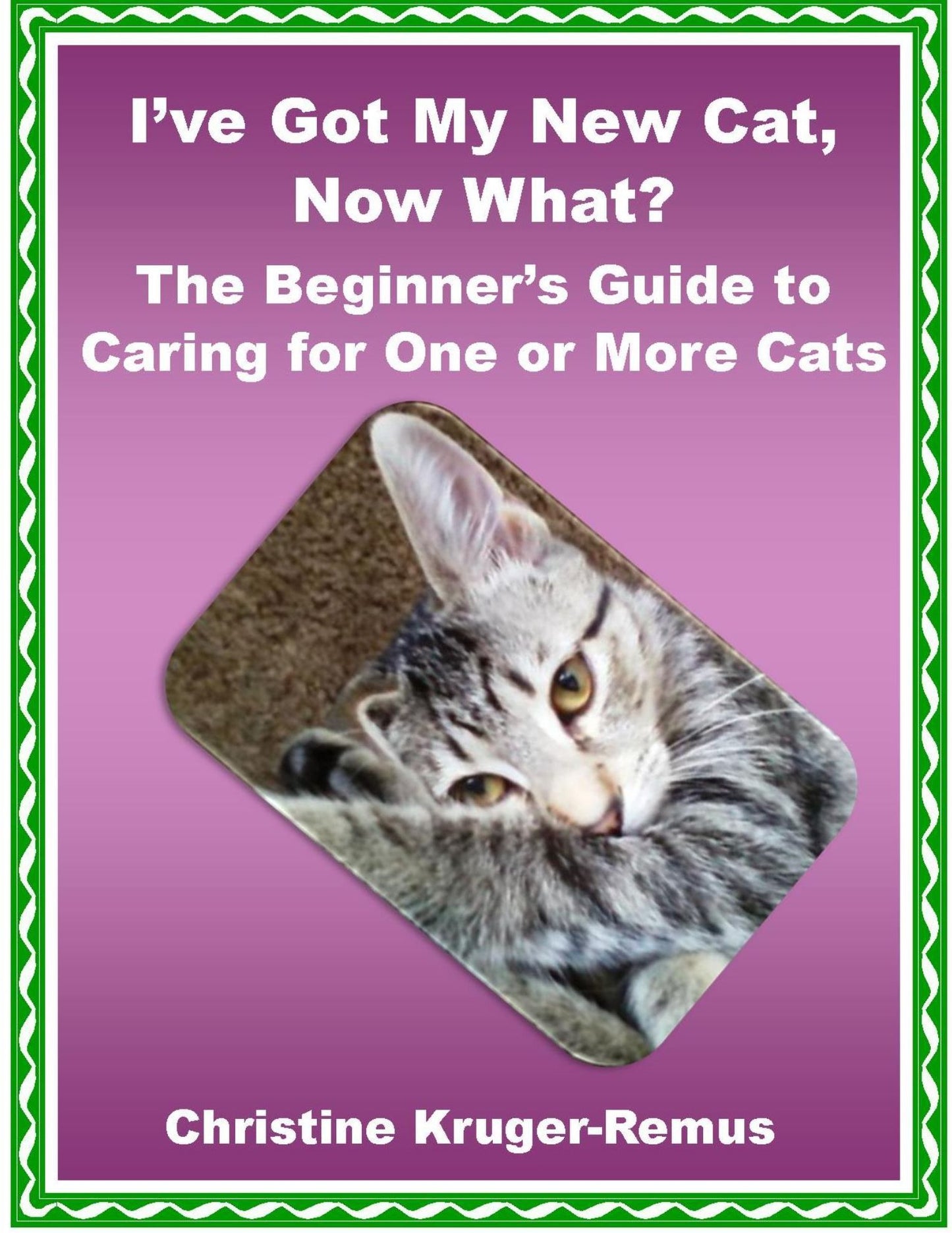I've Got My New Cat, Now What? The Beginner's Guide to Caring for One or More Cats