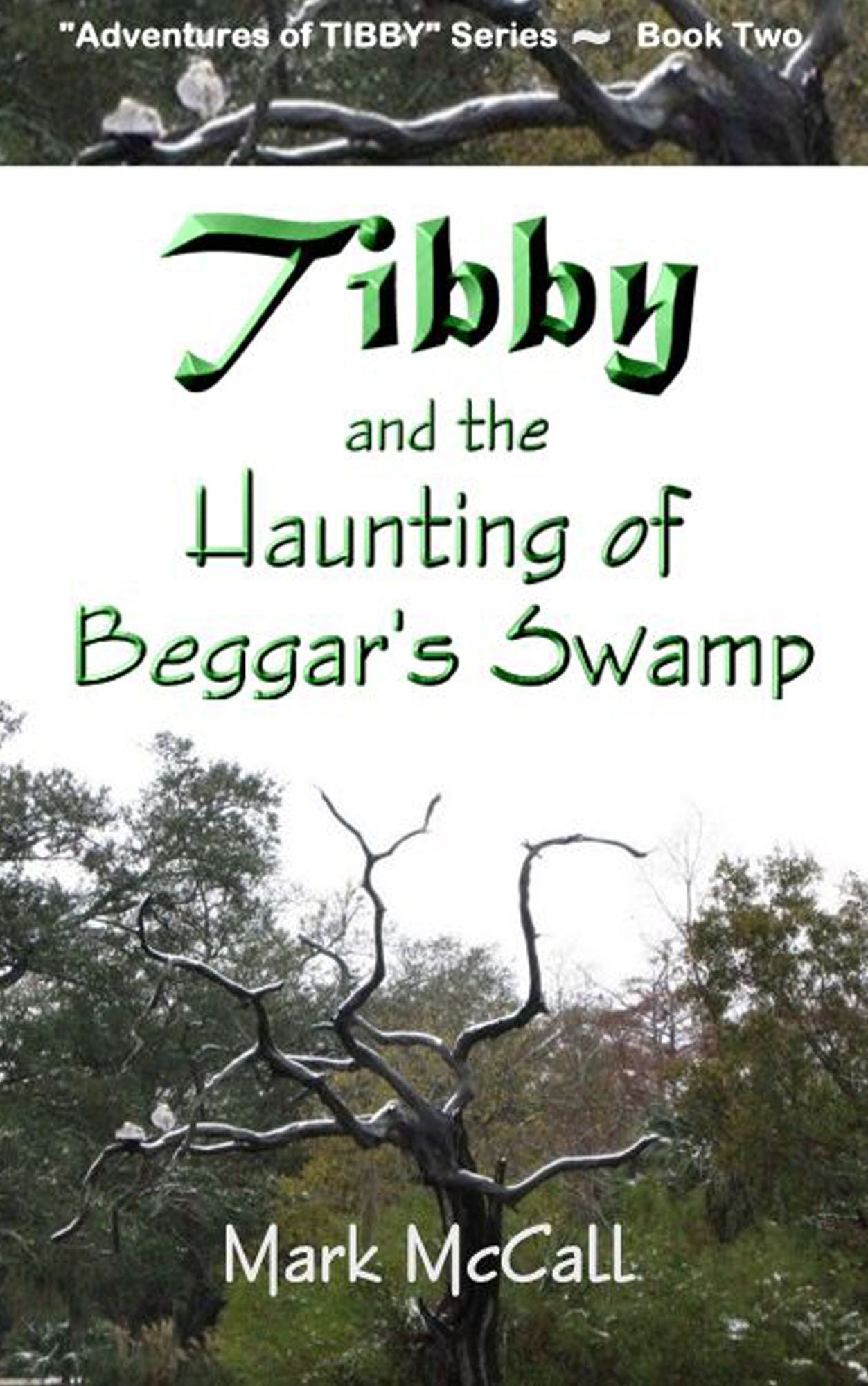 Tibby and the Haunting of Beggar's Swamp; Book Two in the "Adventures of Tibby" Series
