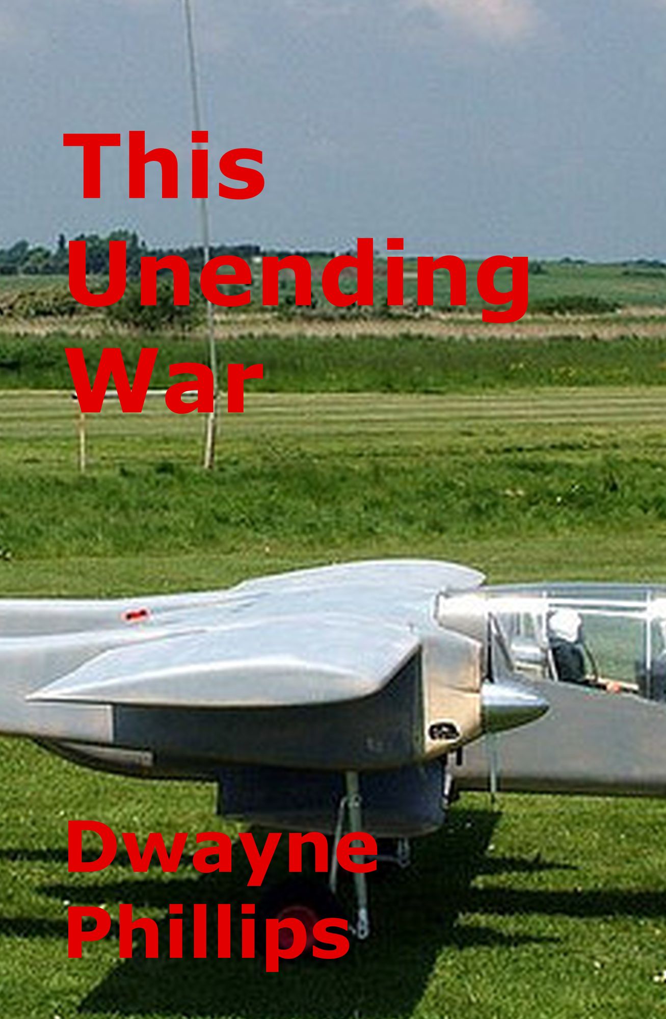 This Unending War