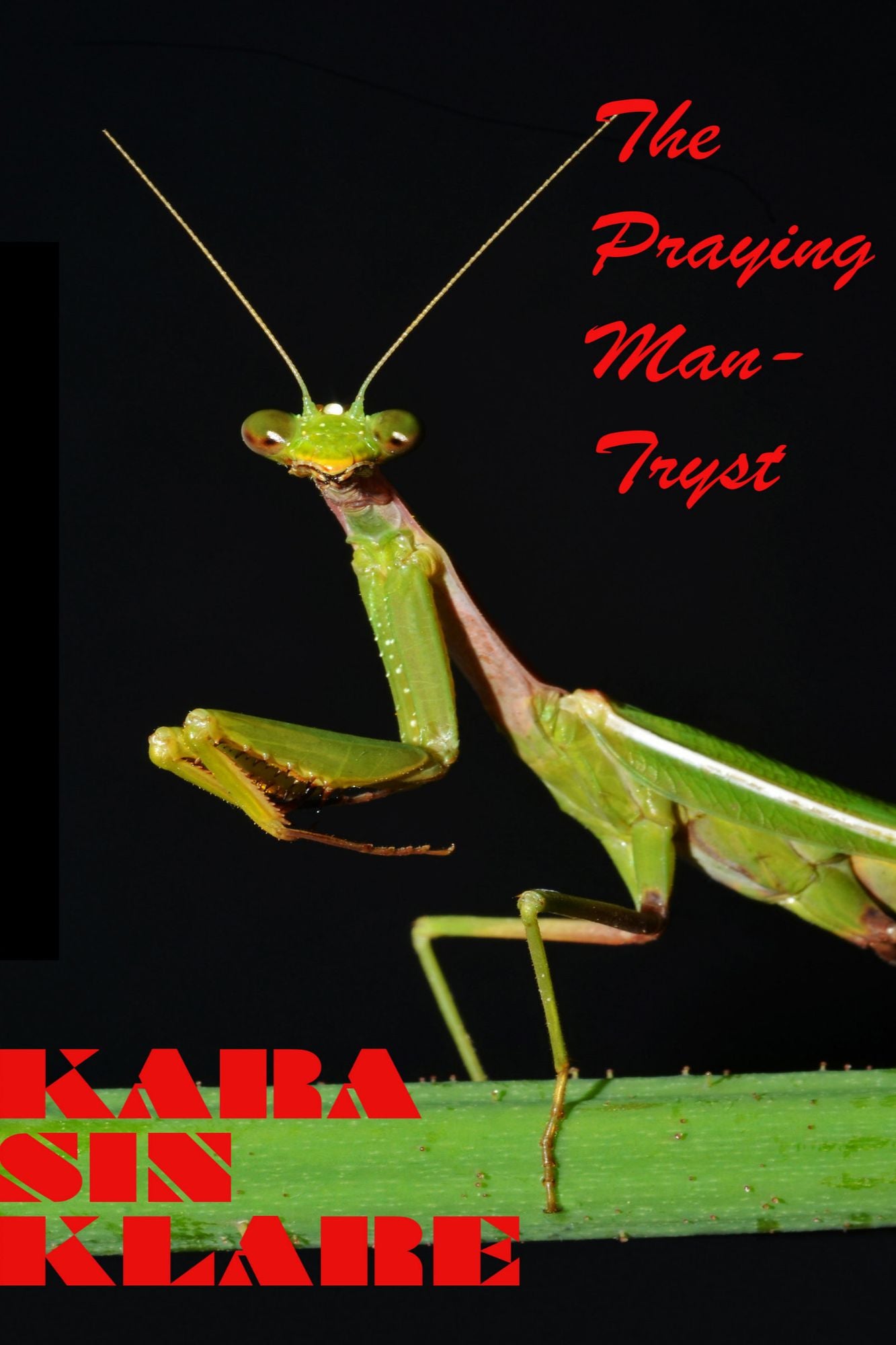 The Praying Man-Tryst