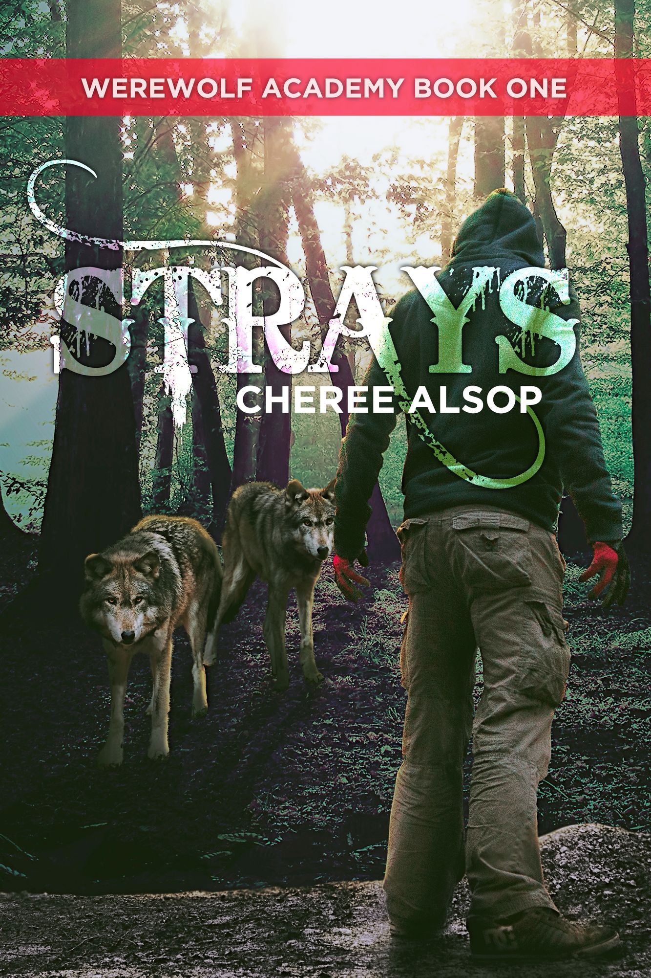 Werewolf Academy Book 1: Strays